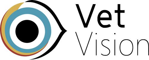 Vision Vet Program Coastal Vet Collective Animal Hospital - Fairy Meadow