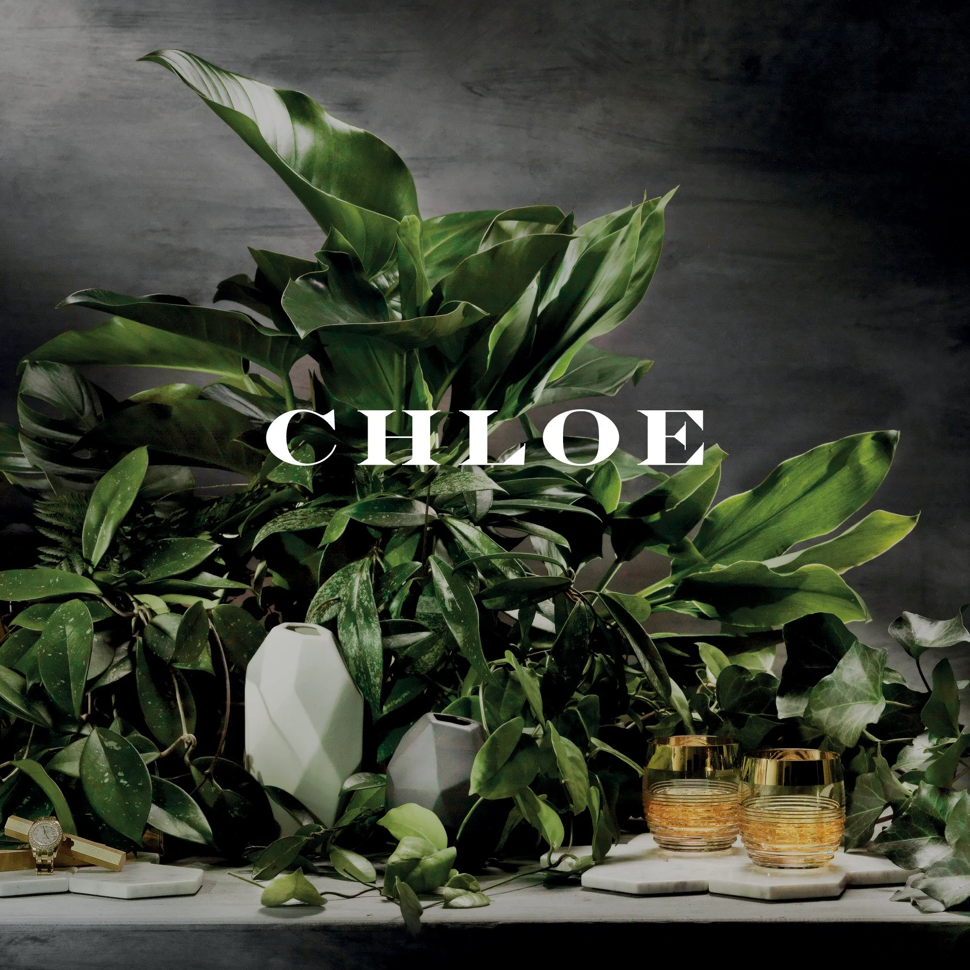 Chloe / Pomeroy Pacific