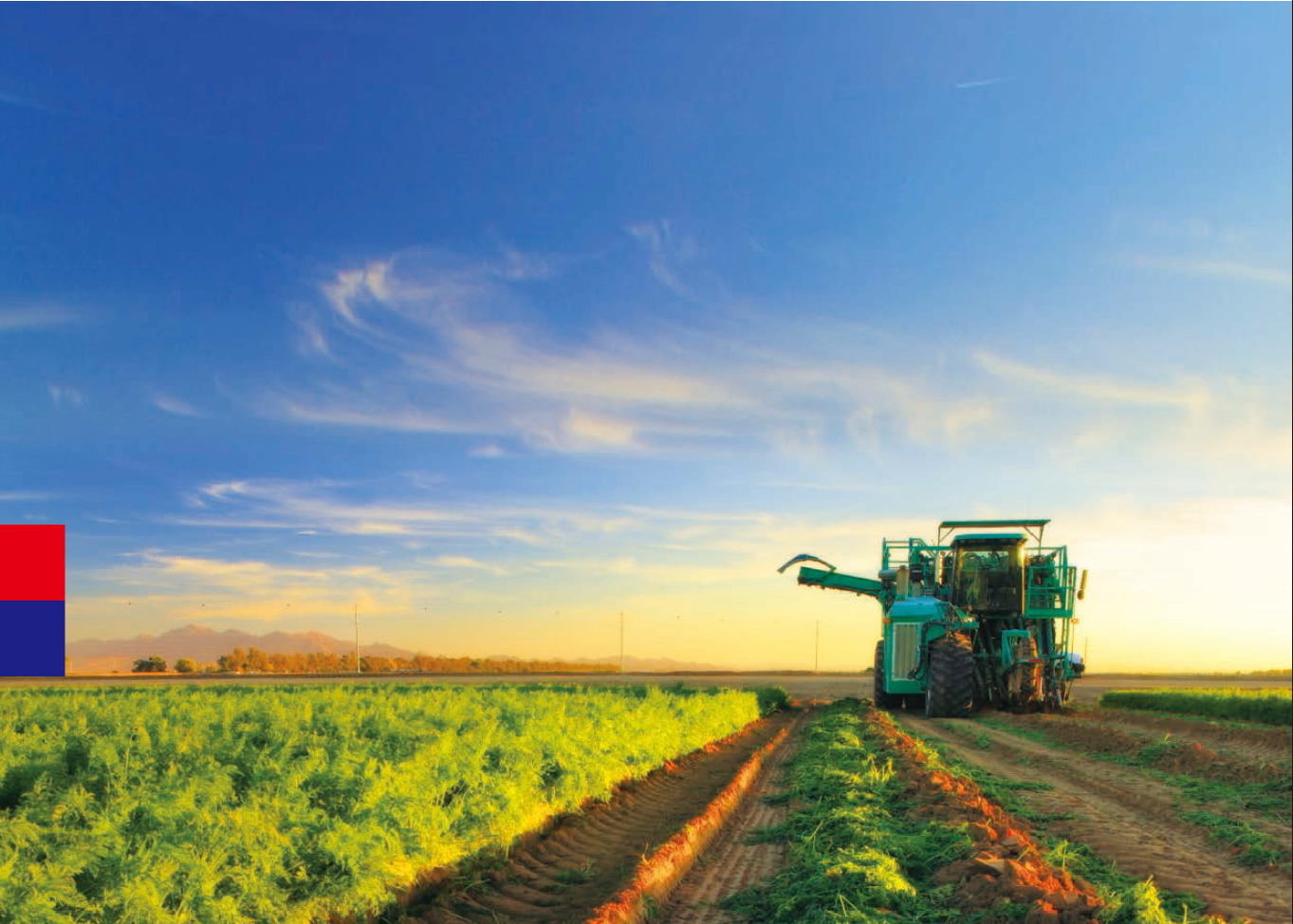 Farmland with rows of crops and a large tractor on the right side under a blue sky with scattered clouds, during sunset.