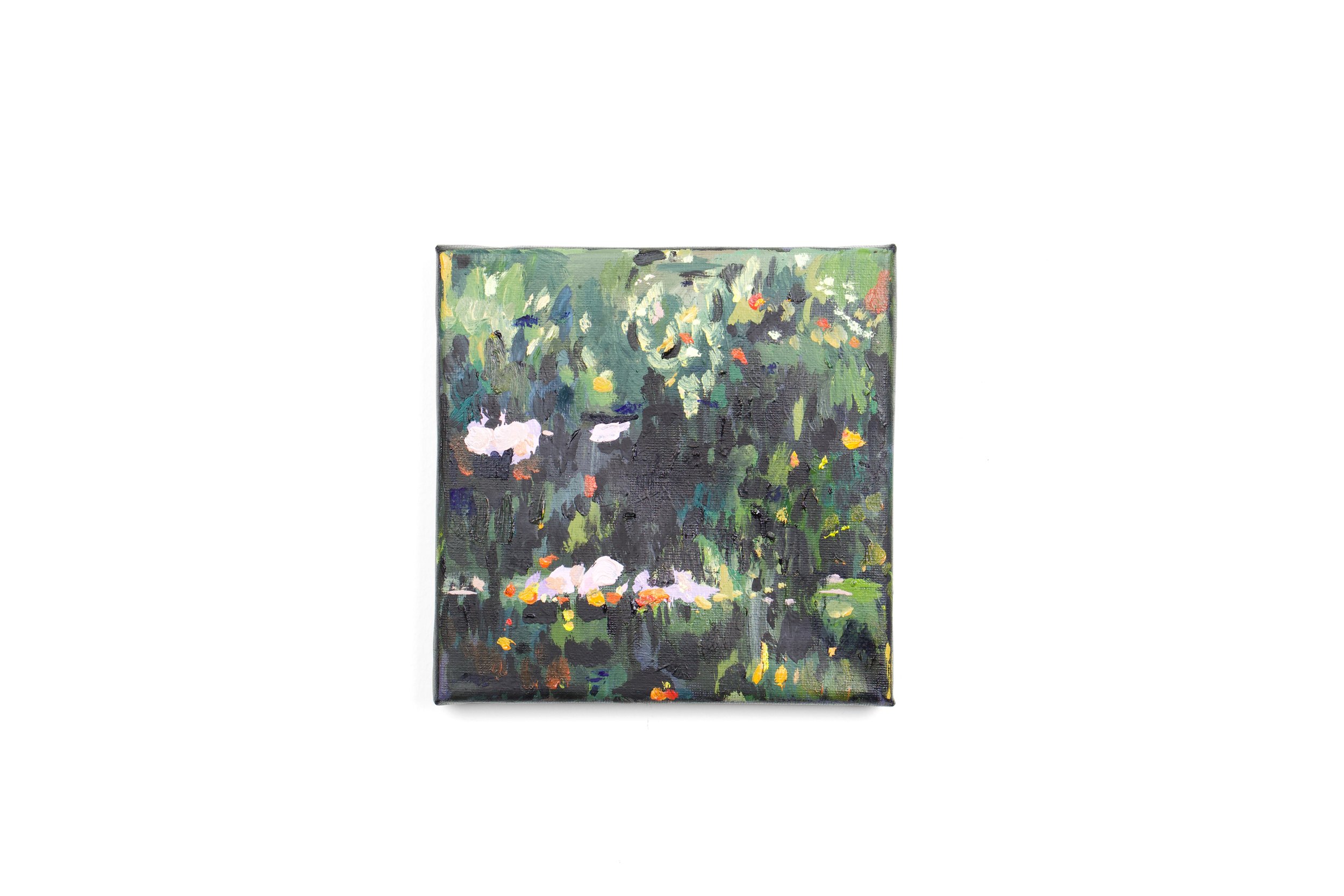 Cedralzinho 2025 15 x 15 cm oil on canvas