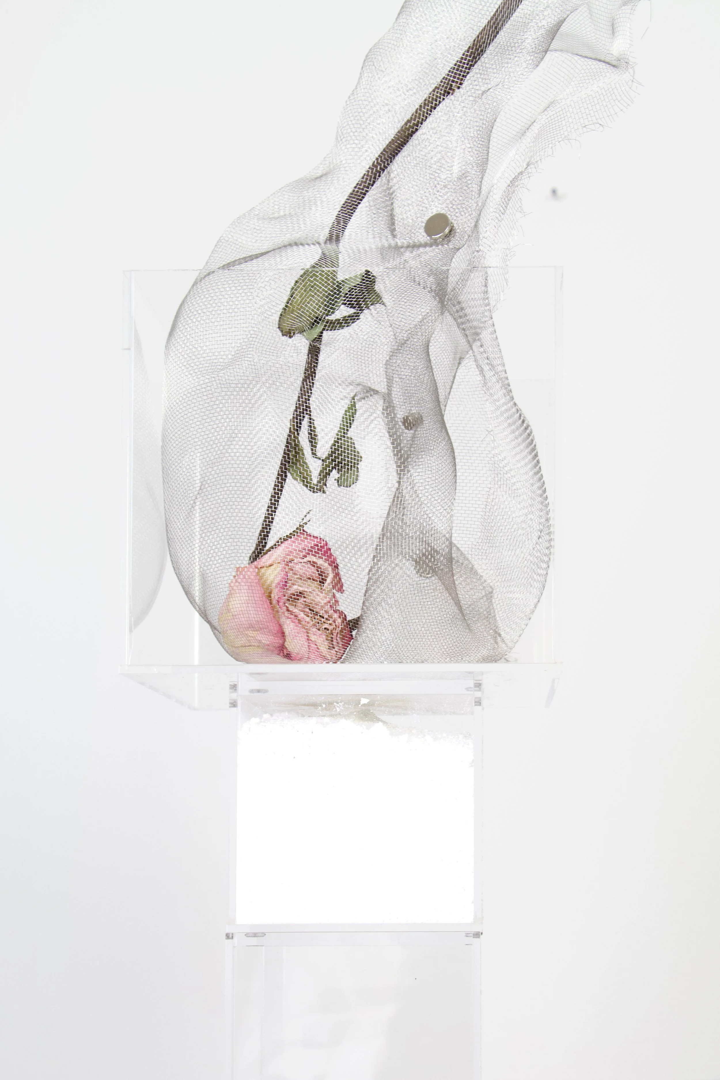 Fragile like a bomb, acrylic boxes stacked together, dried rose, aluminum mesh, magnets, calcium carbonate, rose ashes, and gunpowder, 2025