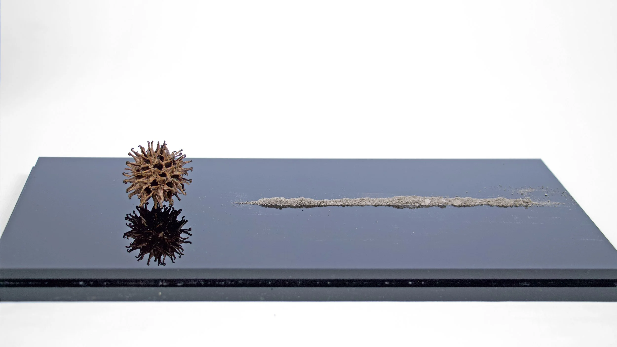 IMG_1233 copy 3 W.jpg