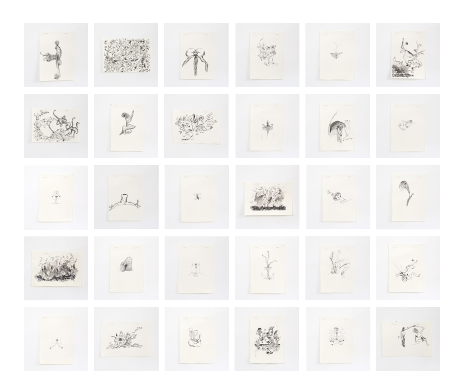 O Incômodo | The Discomfort
2025
set of 30 drawings produced in 2025.
21 x 29 cm each.
graphite, India ink, and felt-tip pen on paper.