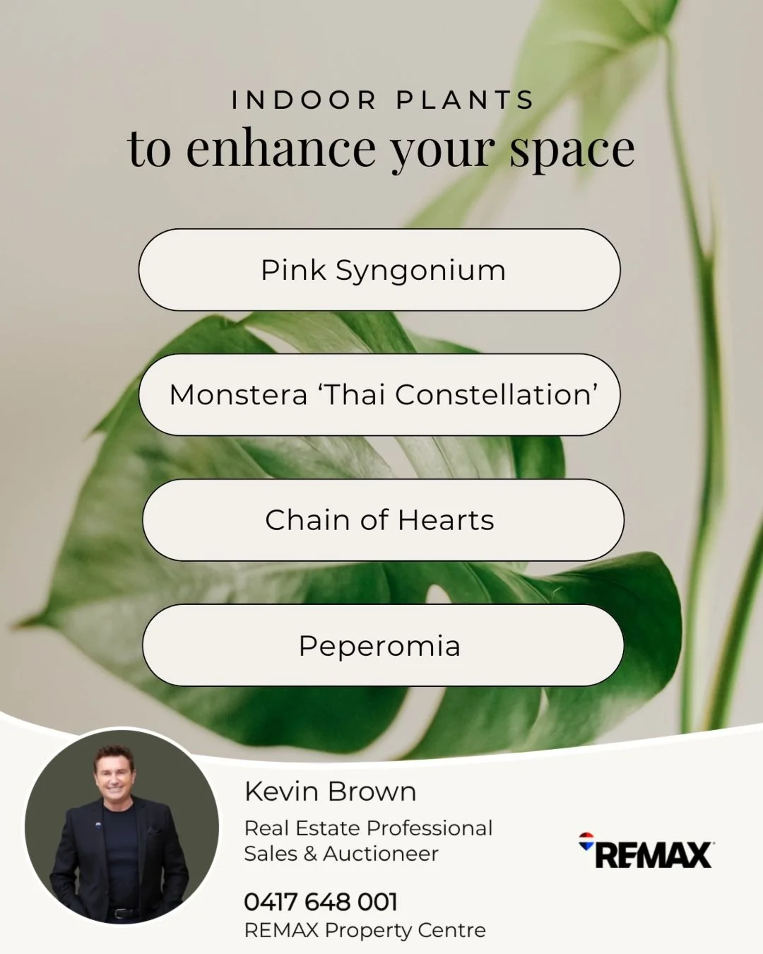 🌿 Bring your indoor garden to life!

These four plants are making waves in homes this year:

✨ Monstera &lsquo;Thai Constellation&rsquo; &ndash; Stunning variegated leaves for a bold statement
✨ Pink Syngonium &ndash; Soft pink foliage that add