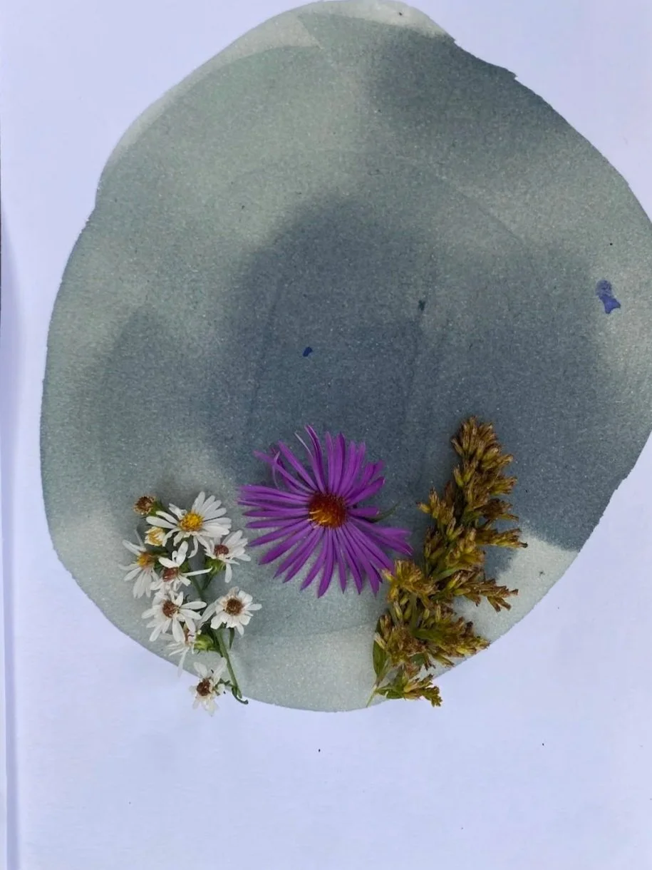 Weeks 6 &amp; 7 2025-2026 in Review