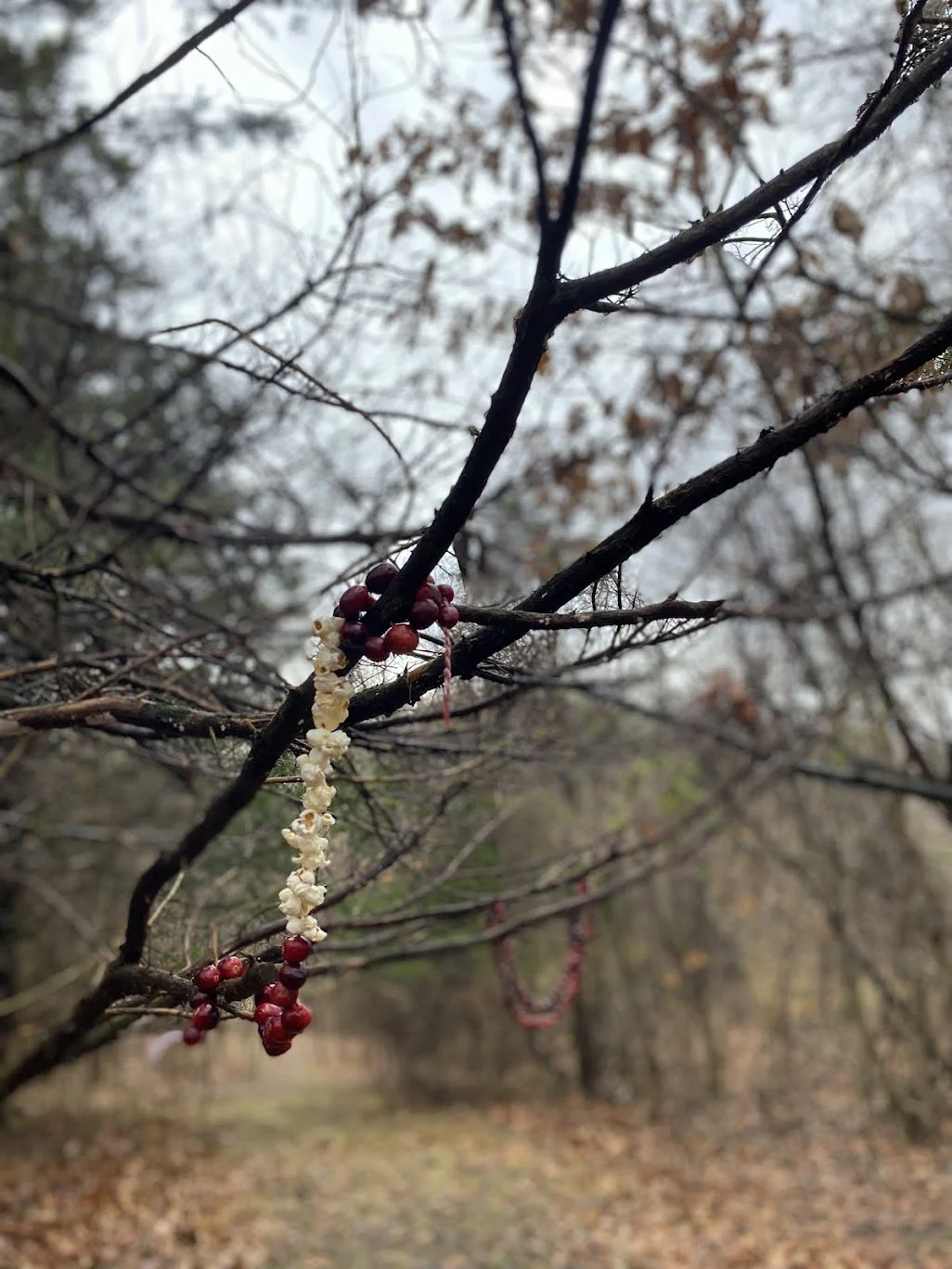 Weeks 12, 13, &amp; 14 2025-2026 in Review