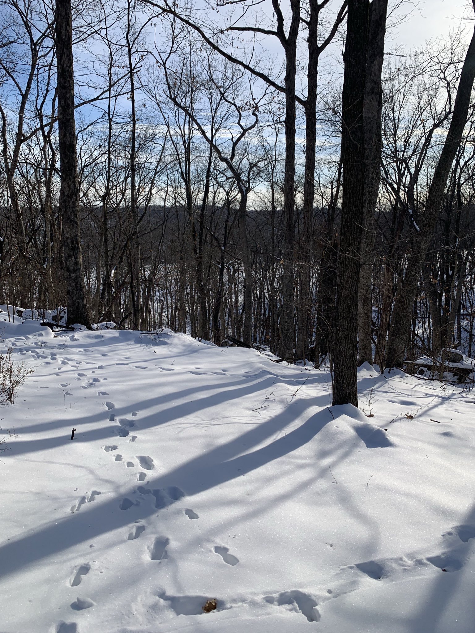 Week 16, 17, &amp; 18 2025-2026