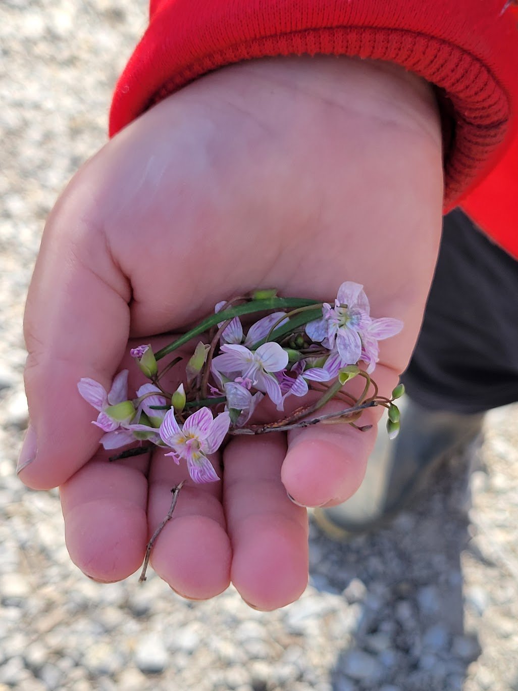 Weeks 23 &amp; 24 2025-2026