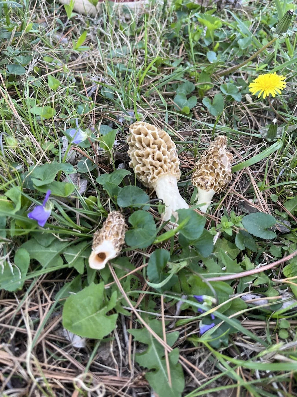 Weeks 25 &amp; 26 2025-2026