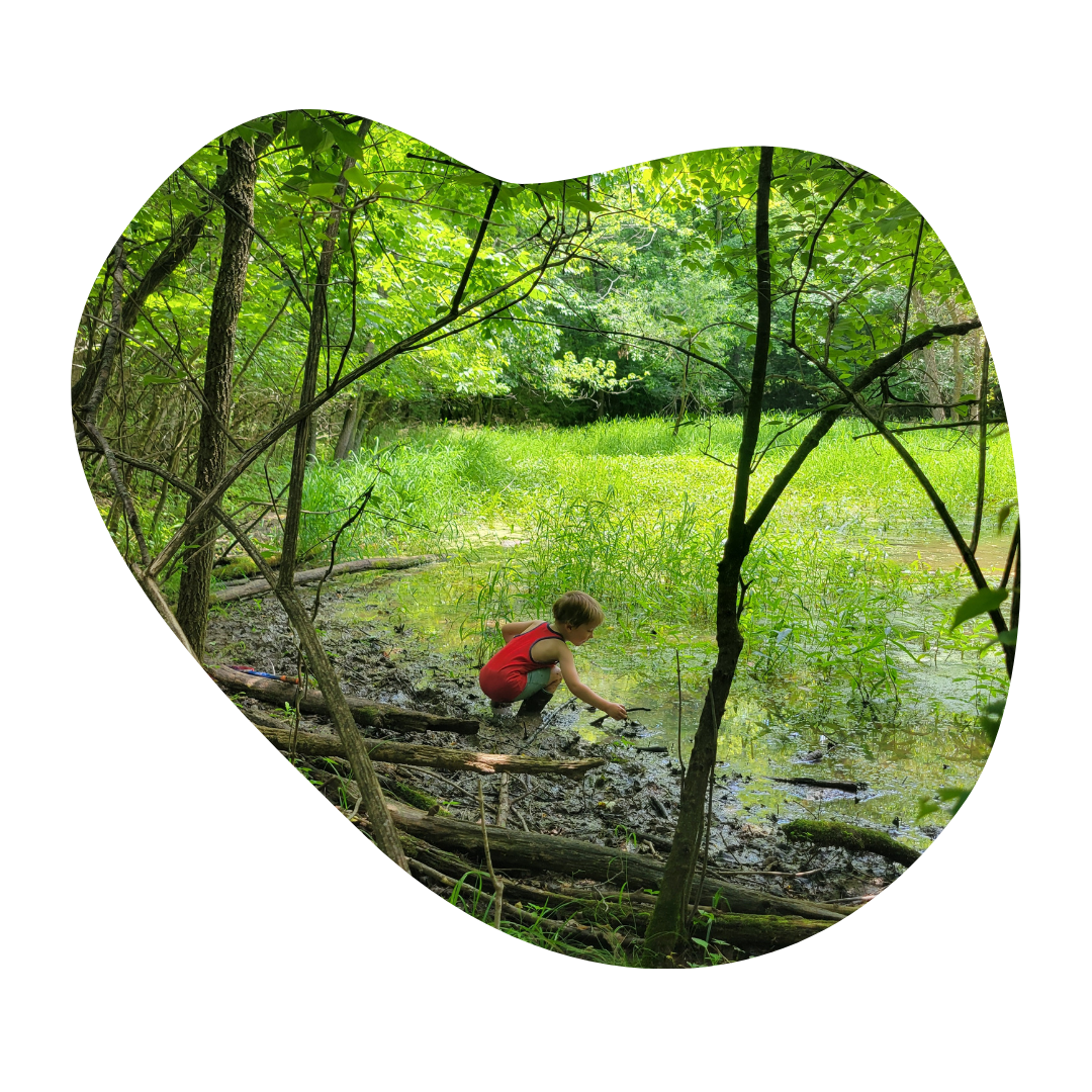 Forest Play at TCC — The Children's Community STL