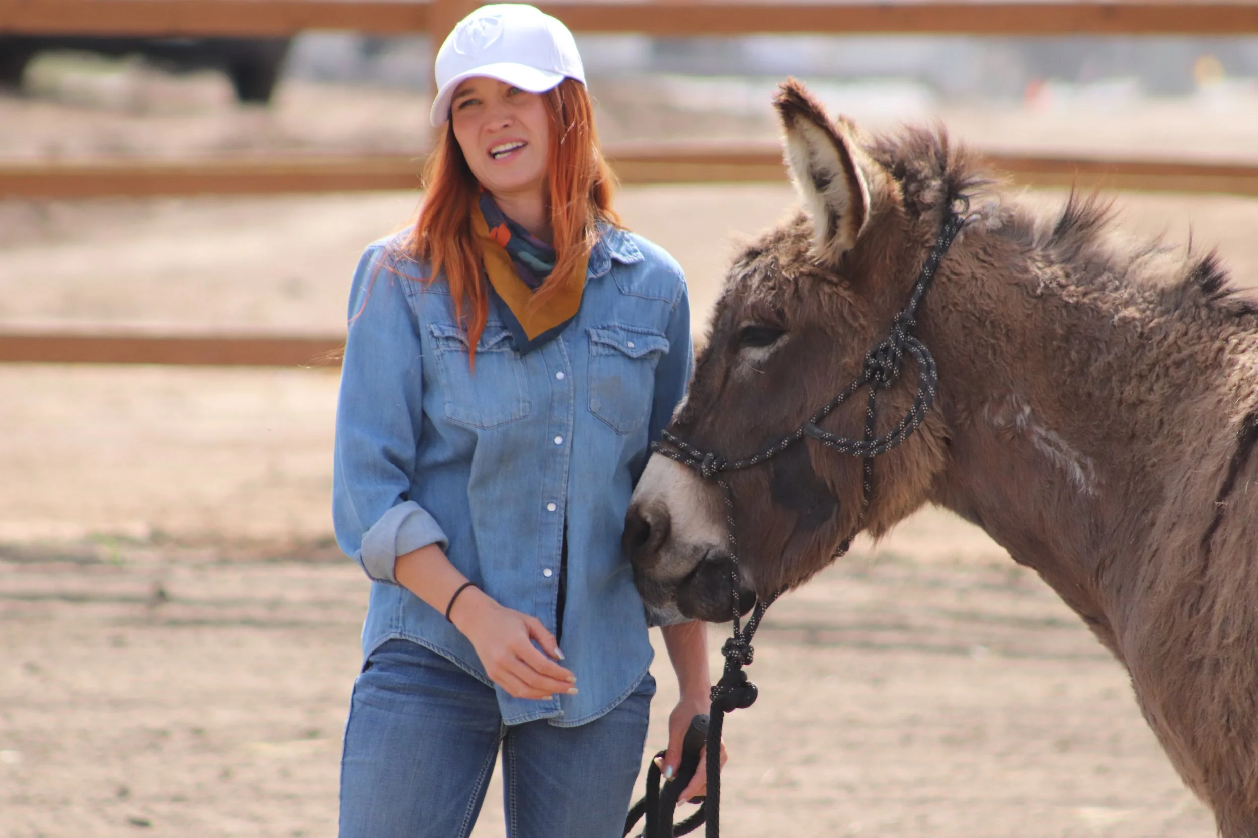 Lead the Herd™ Corporate Equine Retreats