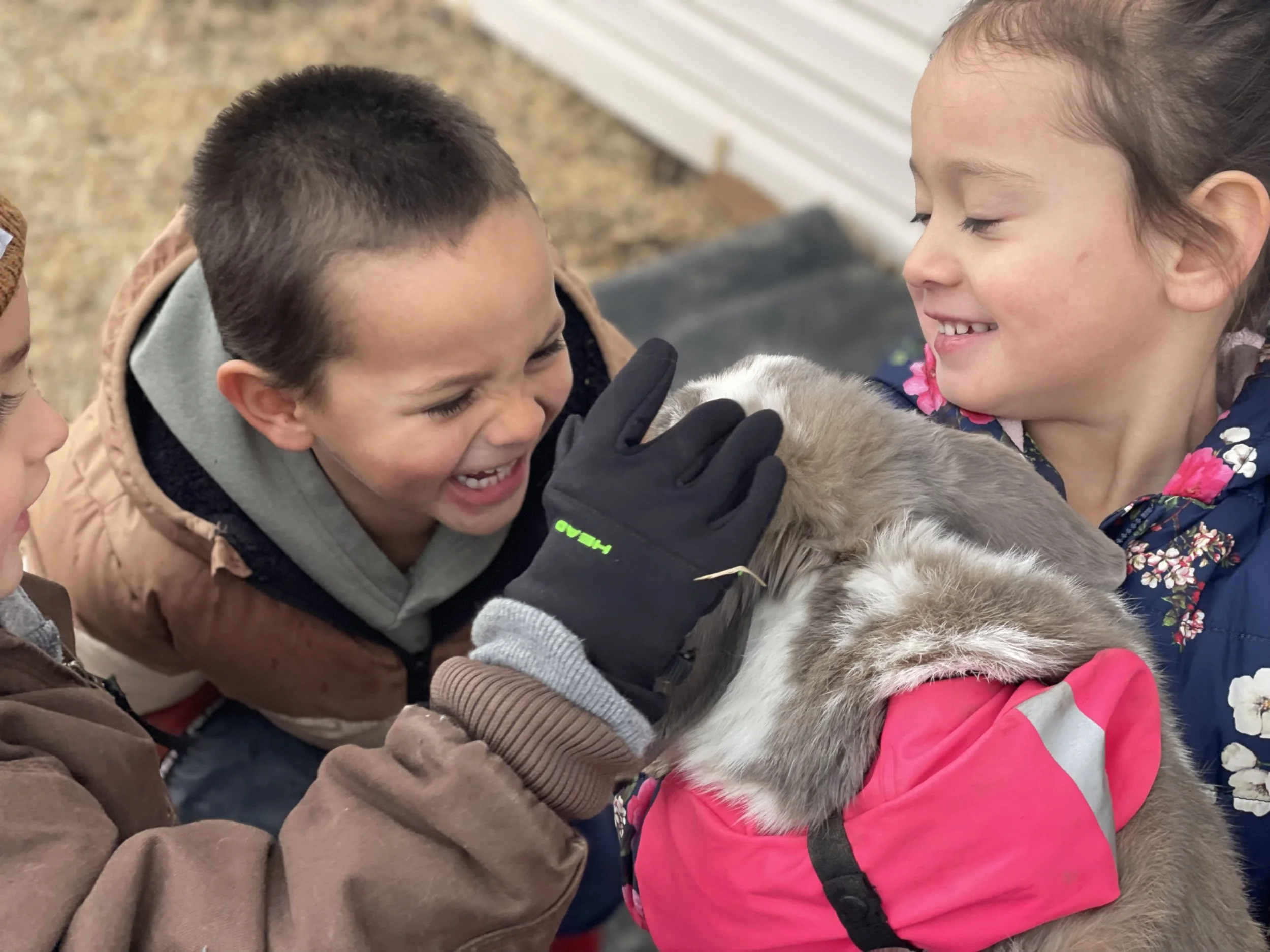 IMG_6797.jpeg (Copy)