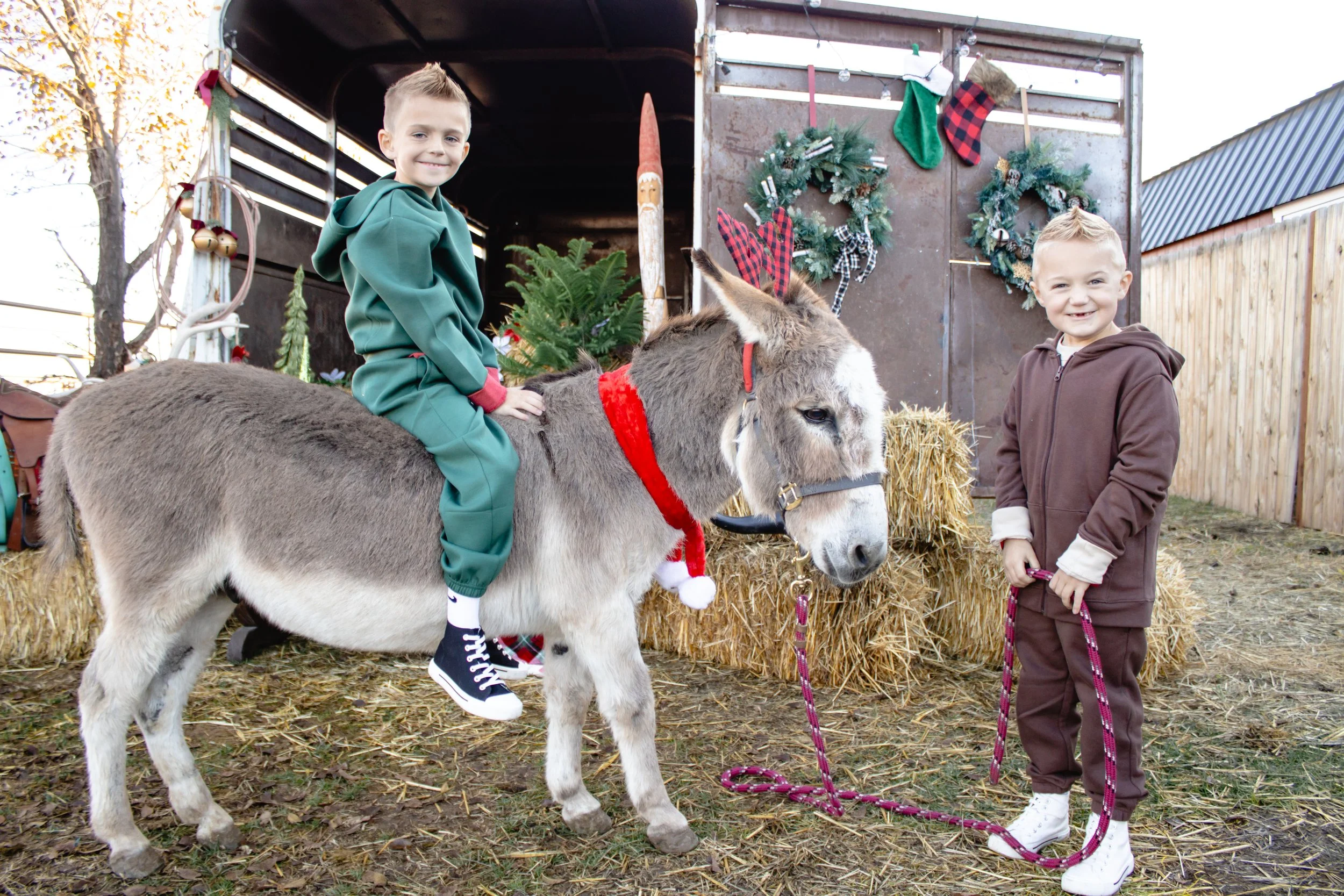 2025-Christmas-Minis-Balderstons-37.jpg