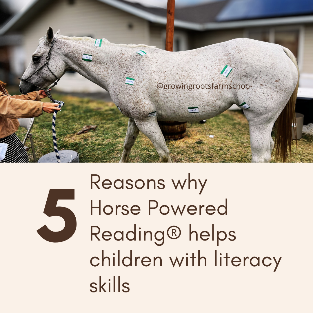 Horse Powered Reading® Summer Level 1