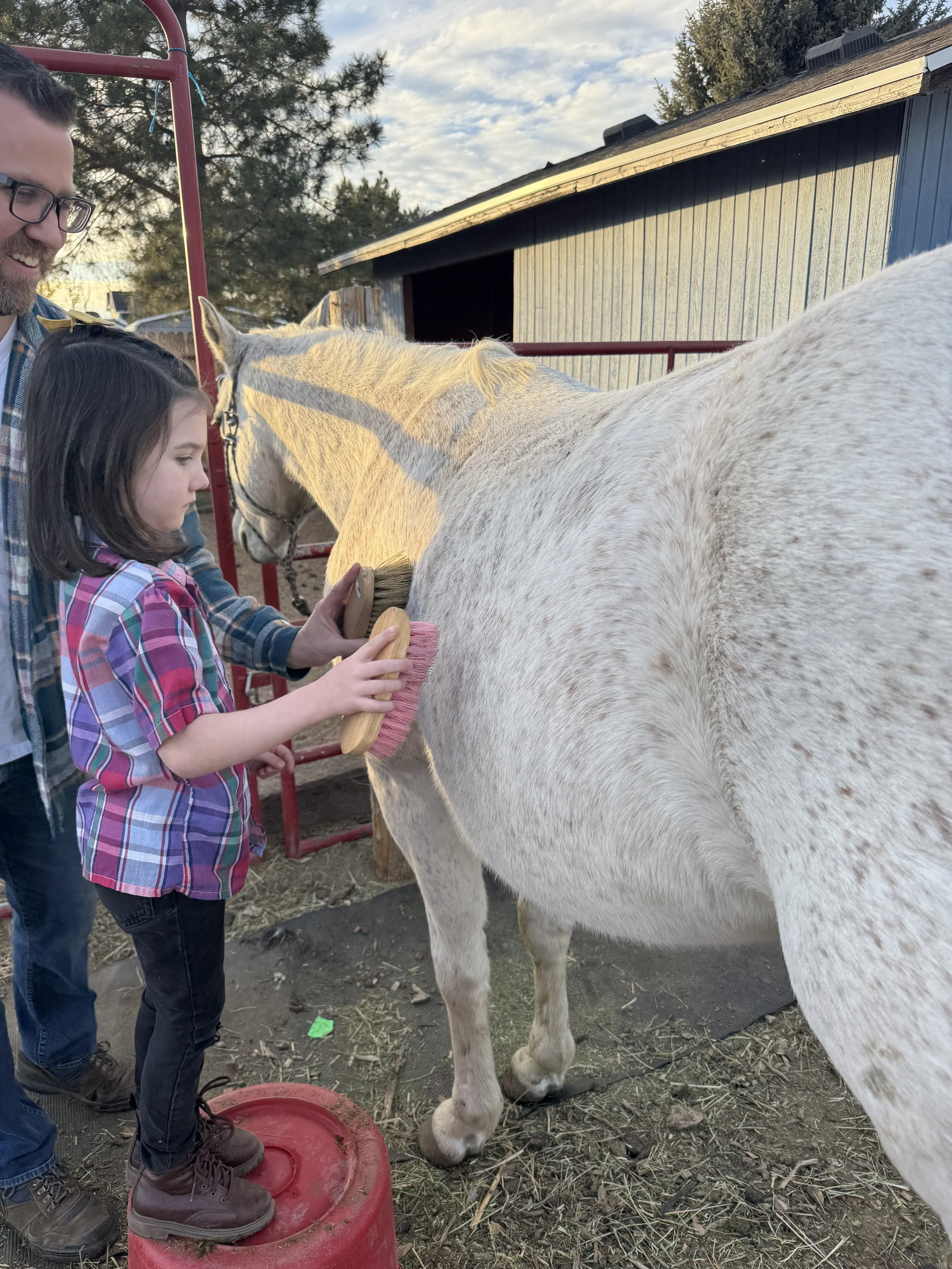 IMG_4787.jpeg (Copy)