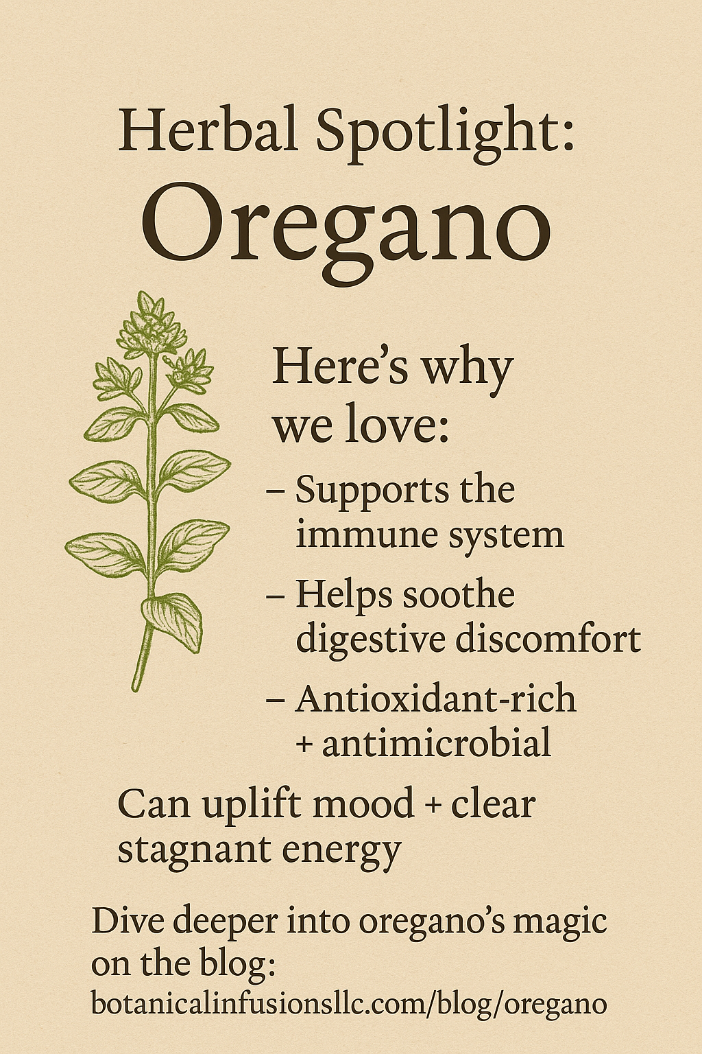 Oregano: Your Everyday Herbal Ally