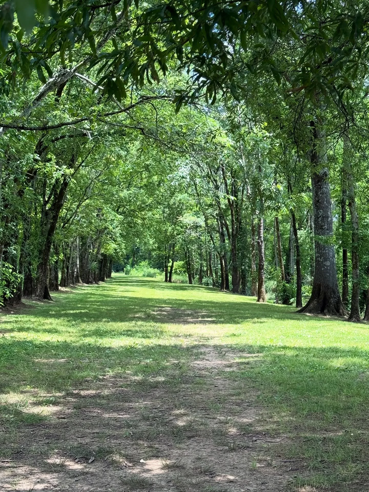 Picture your ceremony under the shade trees of this beautiful outdoor space. Now let&rsquo;s make it a reality! If you know a couple that isn&rsquo;t sure where to start, even with venue selection, reach out to me, like this couple did! We made their