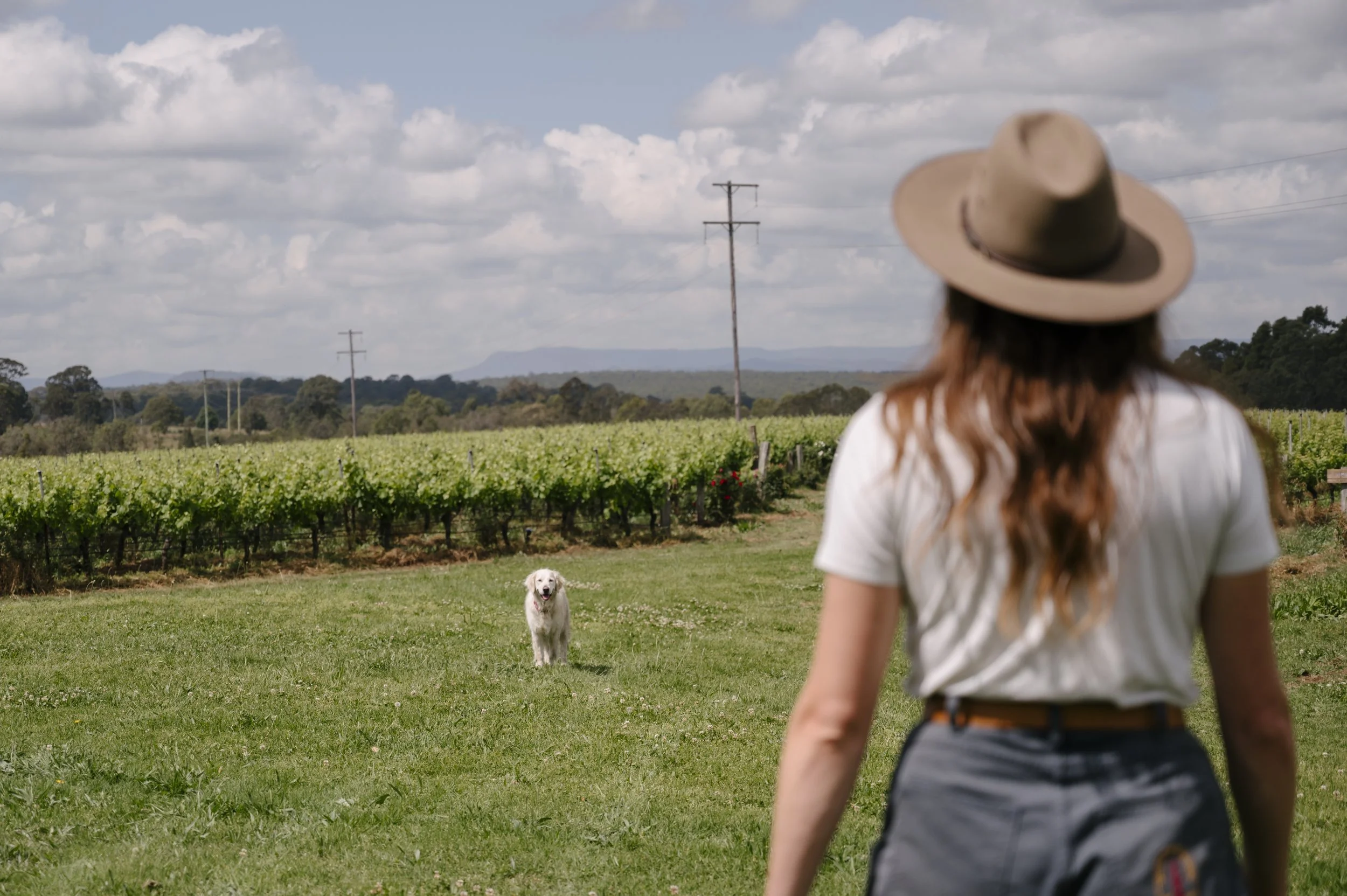 Free DEI Workshop Tickets at the AWITC Up for Grabs!