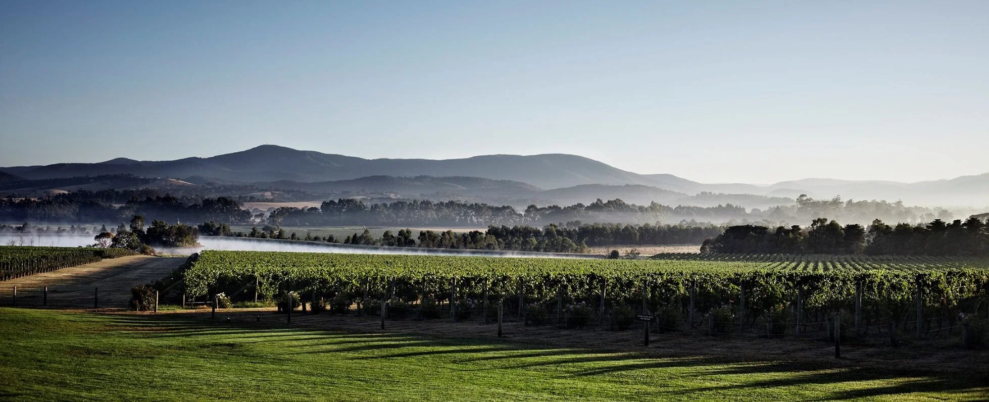 ASVO Yarra Valley Field Trip