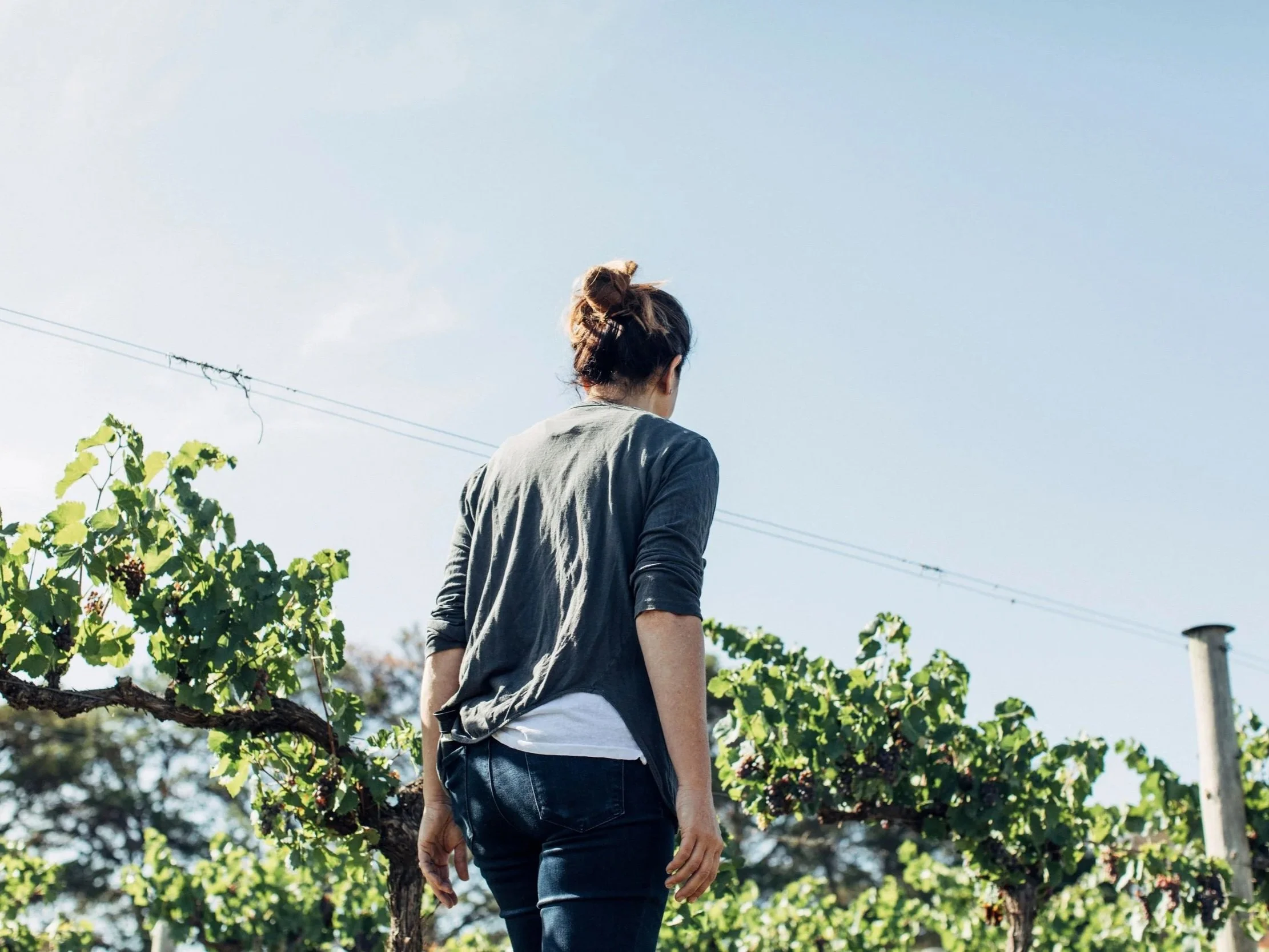 Toolkit released to advance gender equity across wine sector