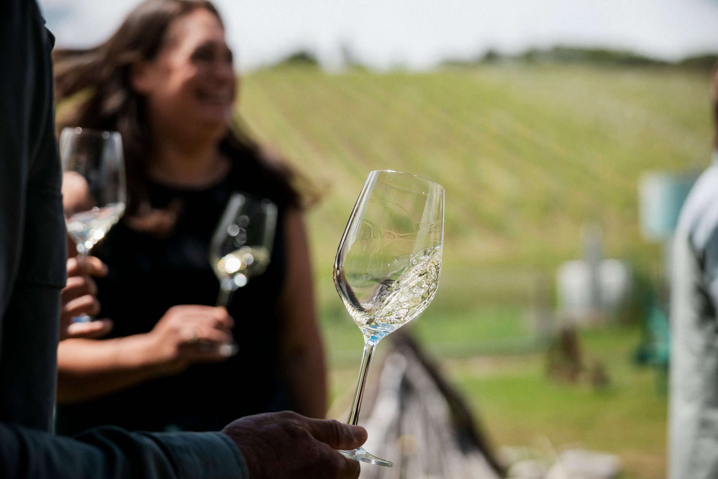 SA Rootlings, apply for the Executive Business Program