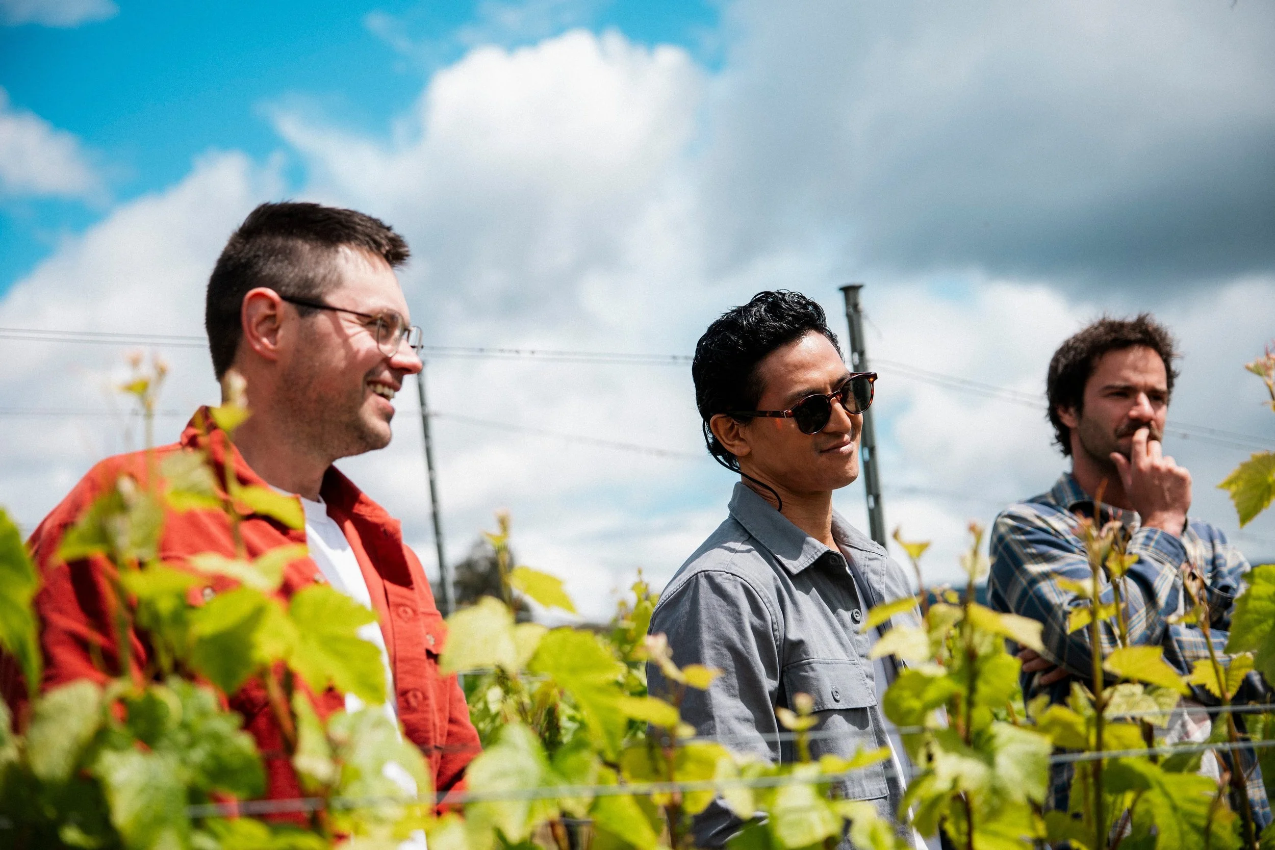 Welcome to Rootlings: The New-Gen Network for the Future of Aussie Wine