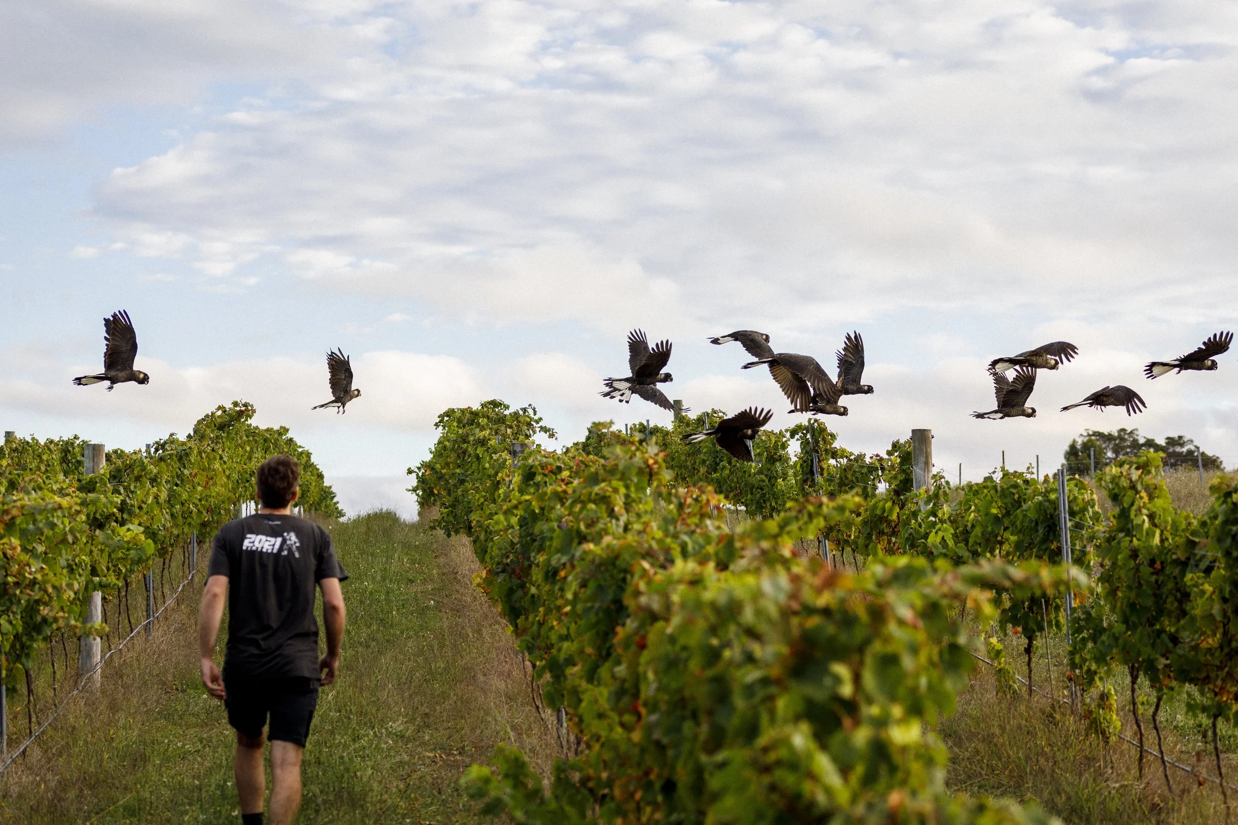 Step Up and Lead: Rootlings Assisted Scholarship for Next Crop 2026 | Cultivating Leadership | Margaret River