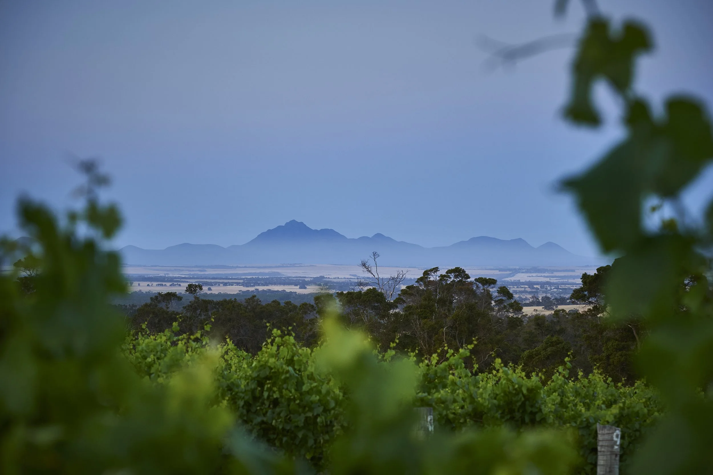 26_WoWA_Great Southern Wine Region_Castle Rock Estate.HERO.jpg