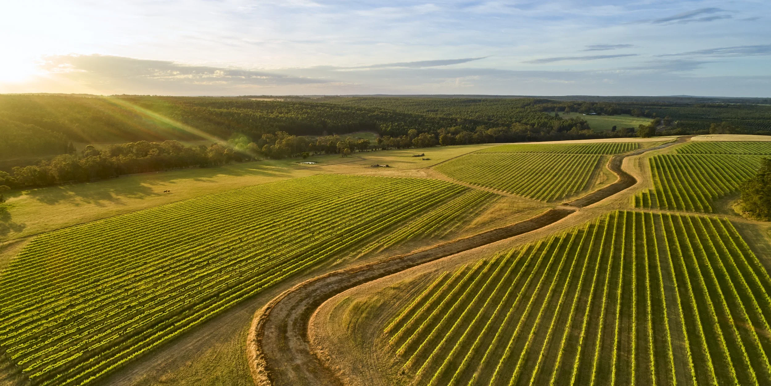 28_WoWA__Great Southern Wine Region_Frankland River Estate.jpg