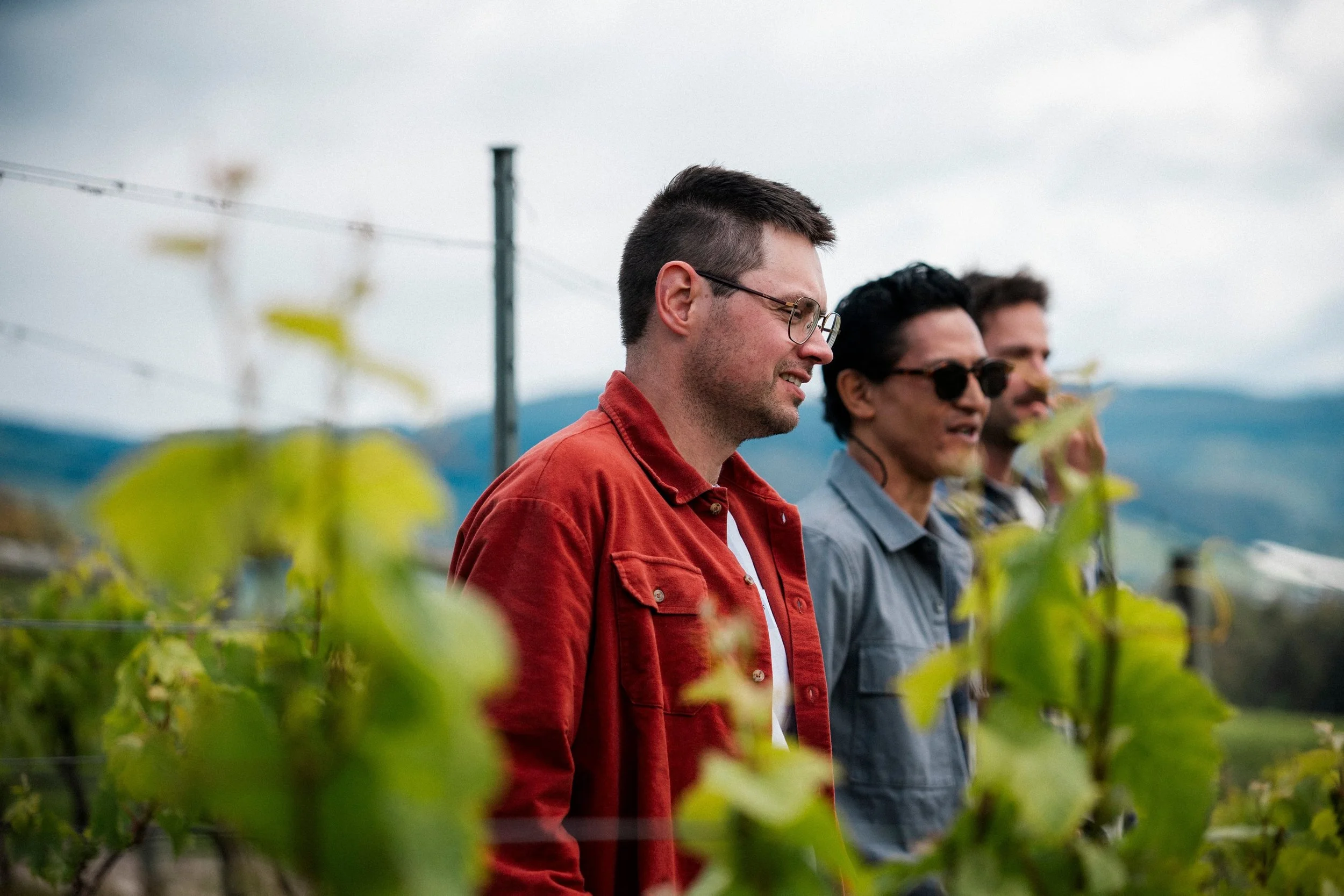 Victorian Viticulture &amp; Wine Technology Scholarships with GOTAFE