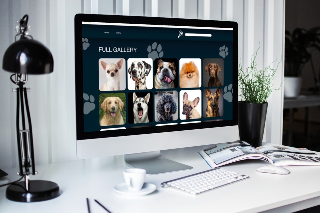 smartmockups_lvued87k.jpg