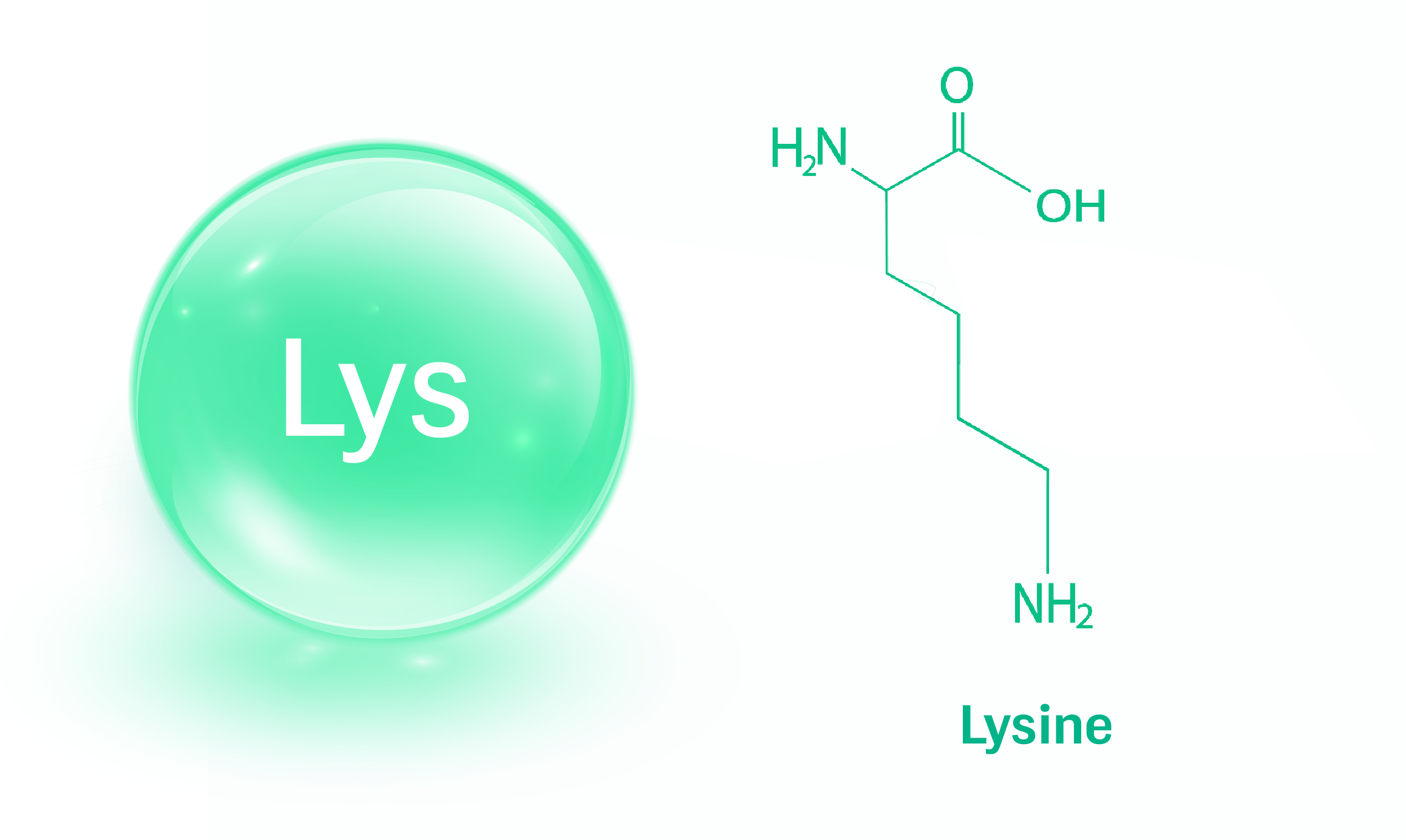 AminoAcids-04.png