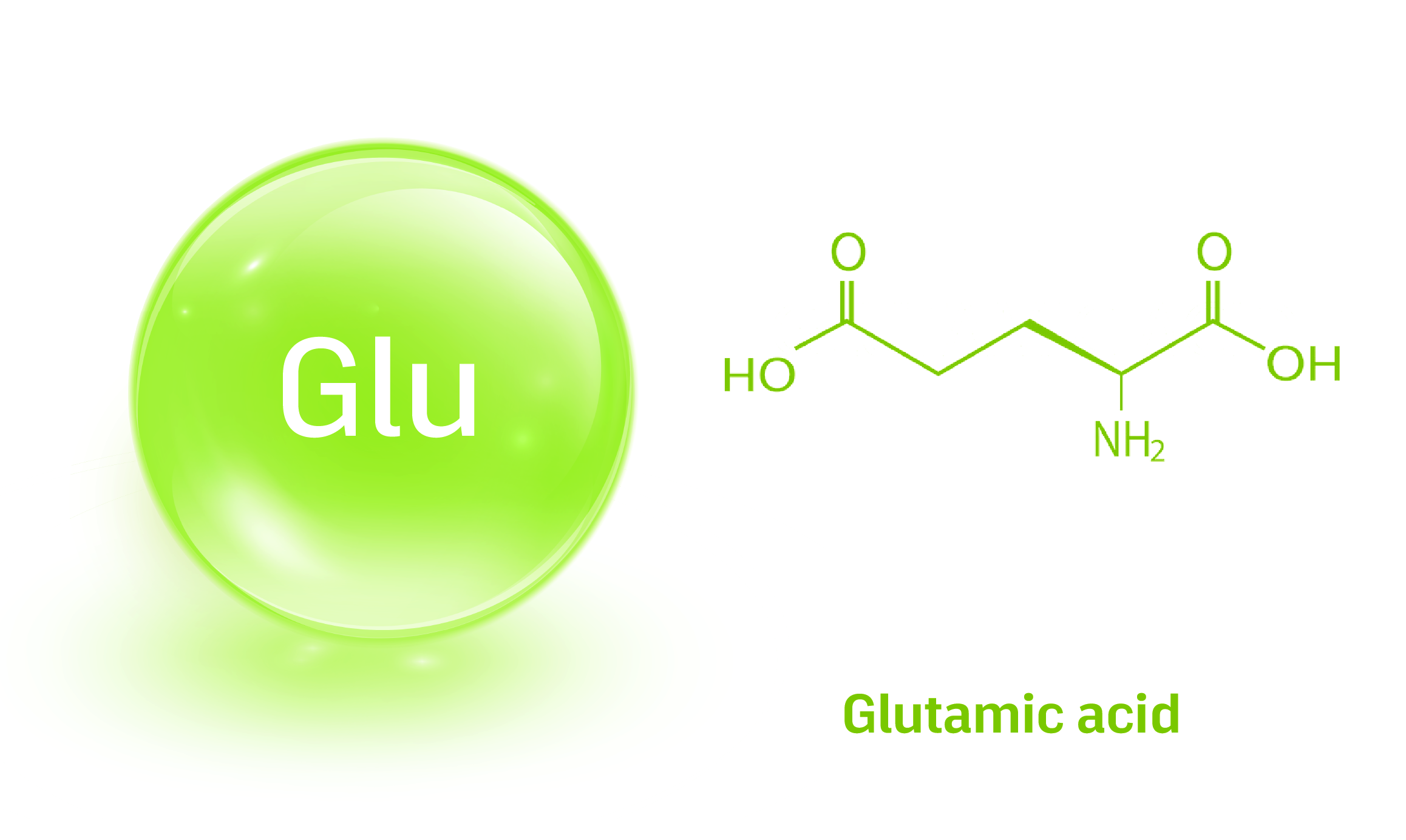 AminoAcids-03.png