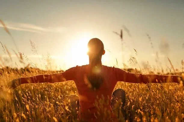 90 Day Somatic Recalibration