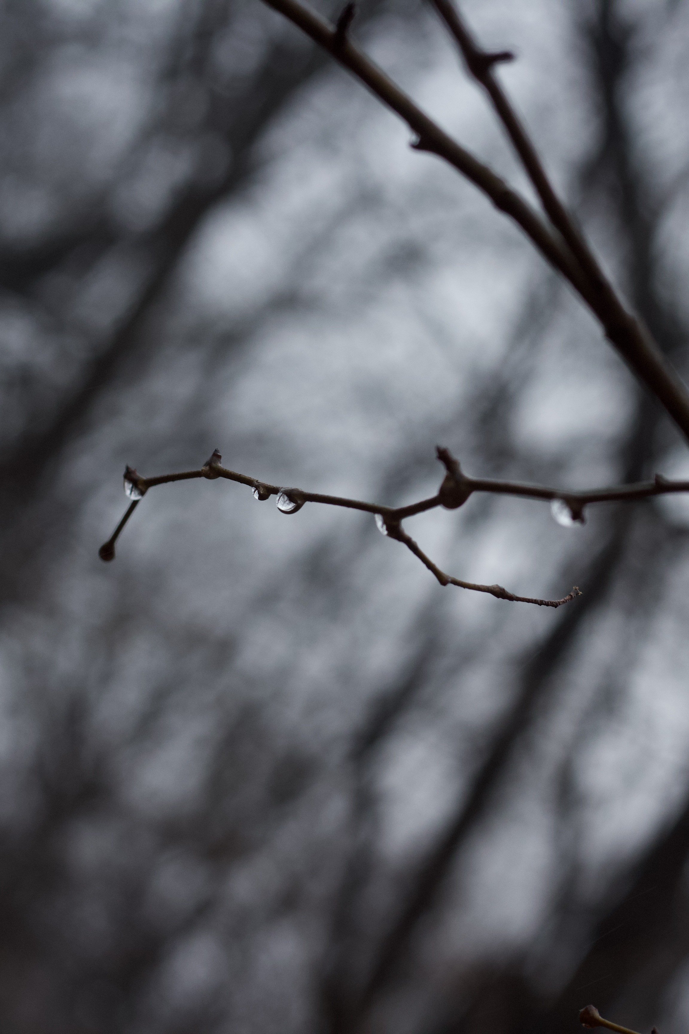 The Cold