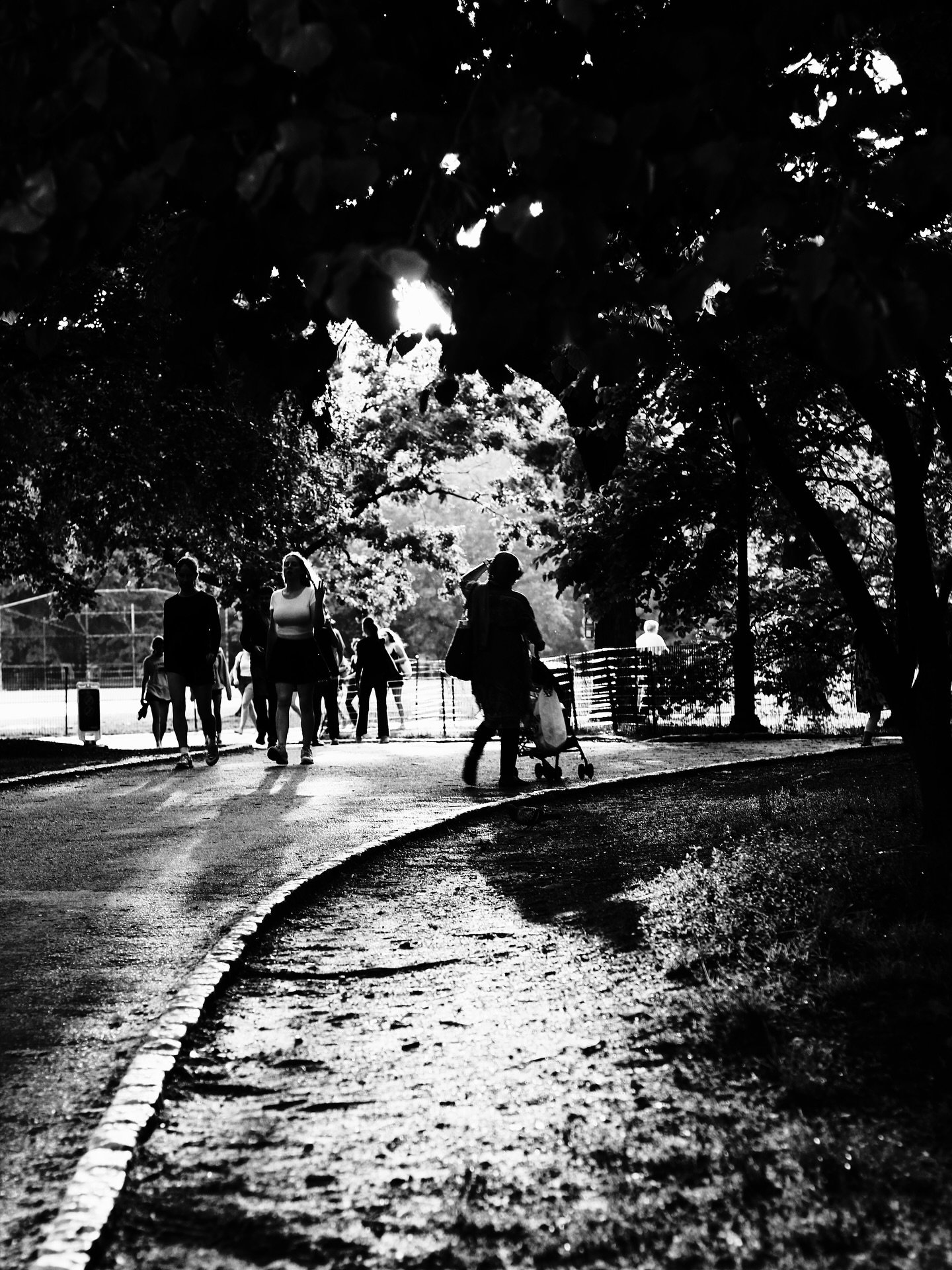 CGA
-
-
-
-
#tdmmagazine #bibinmagazine
#thisisnewyorkcity #bnw_lightandshadow
#streetphotocollective #newyork
#manhattan #oftheafternoon #lensbible #photographize #shinyhappystreet #ourstreets #iso100community #instreetcollective #cinema_streets #SP