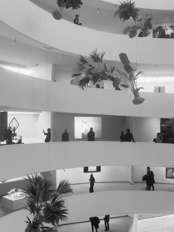 A Rose
#guggenheim #nyc #museum #newyork #reel