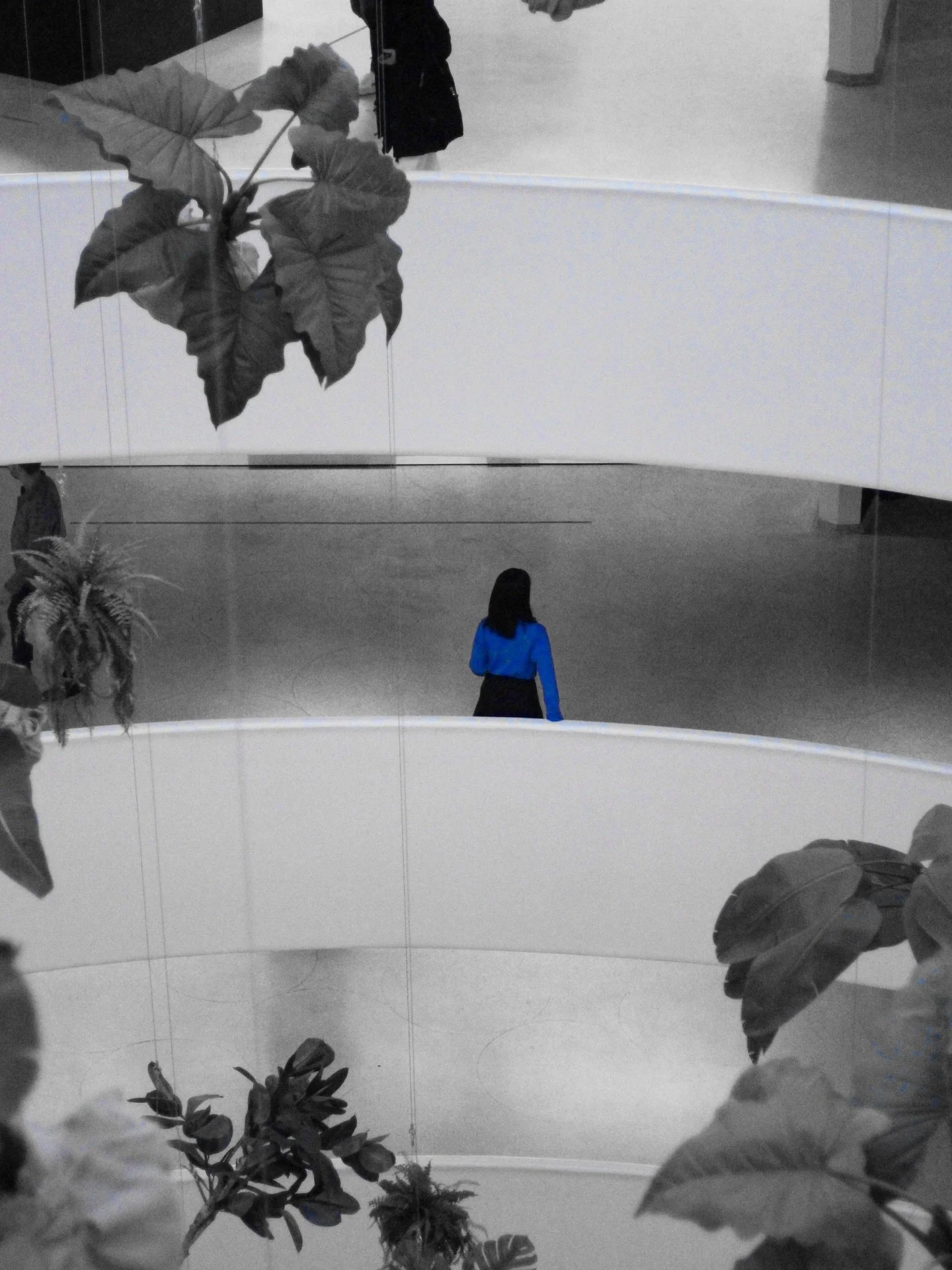 Blue 
-
-
-
-
#nyc
#nycphotography 
#blackandwhite
#photographer 
#photography