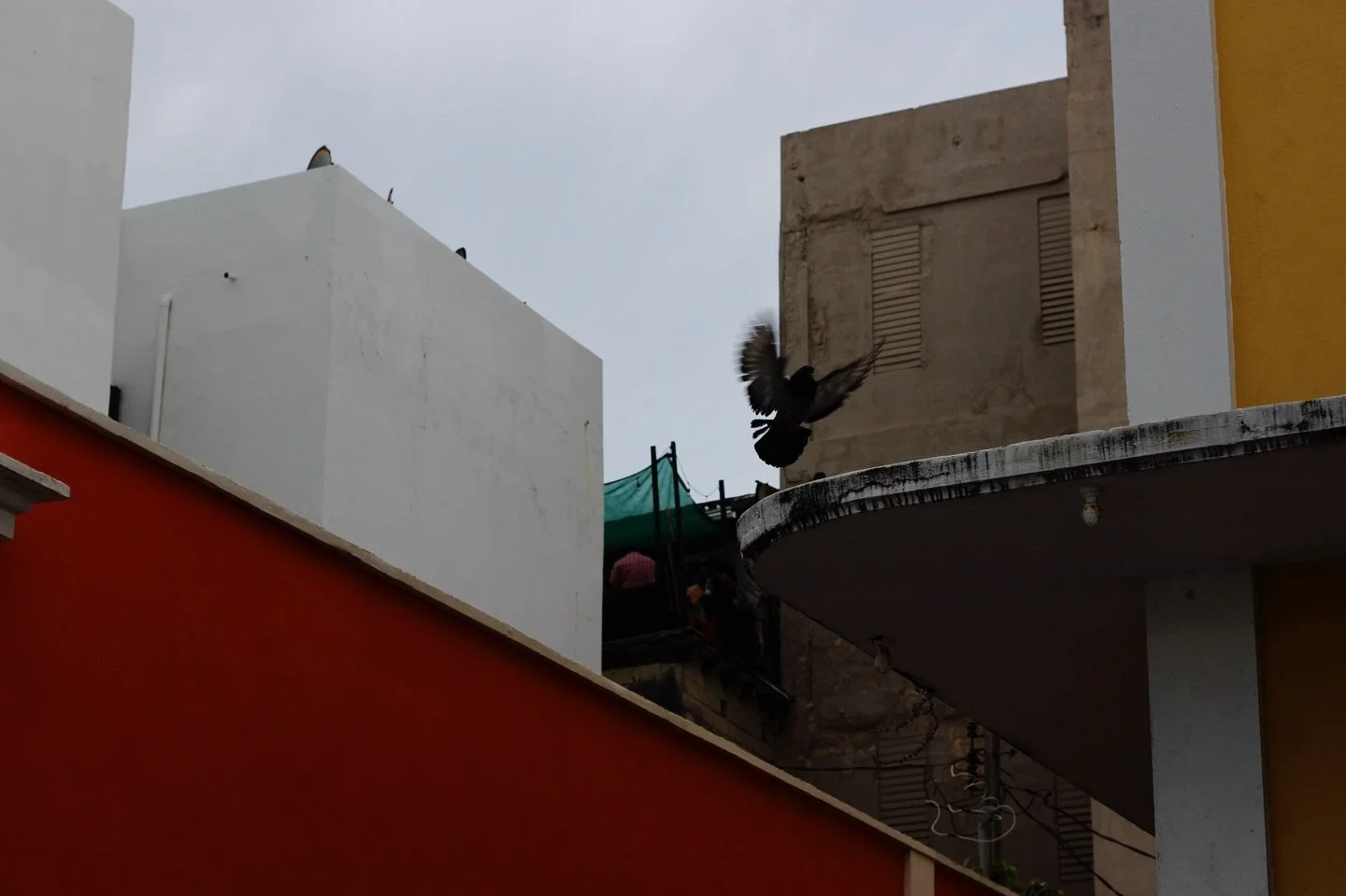 Uptop
-
-
-
-
#puertorico
#sanjuan
#blackandwhite
#photographer 
#photography