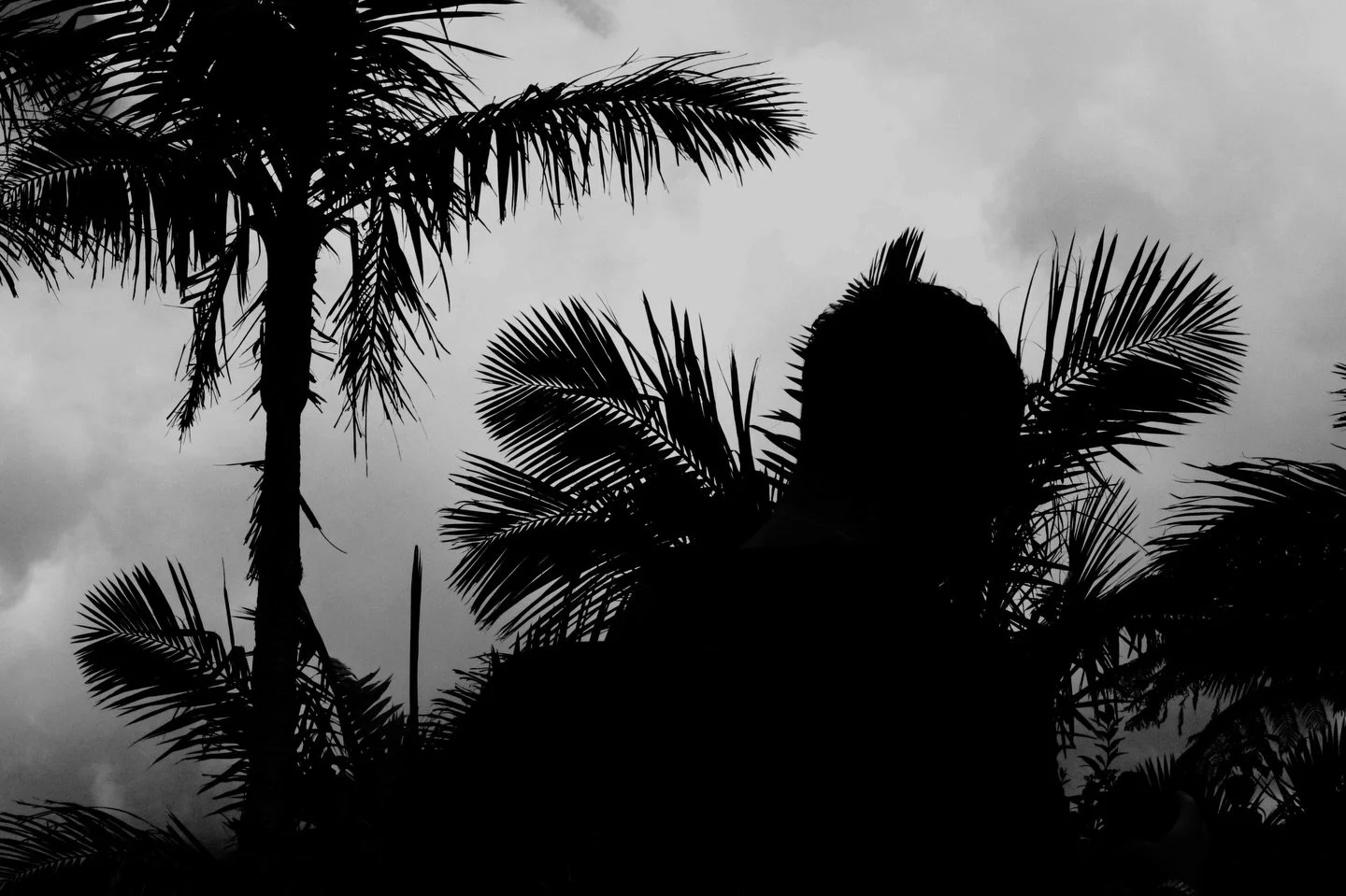 Quisiera detener la hora
-
-
-
-
#puertorico
#sanjuan
#blackandwhite
#photographer 
#photography