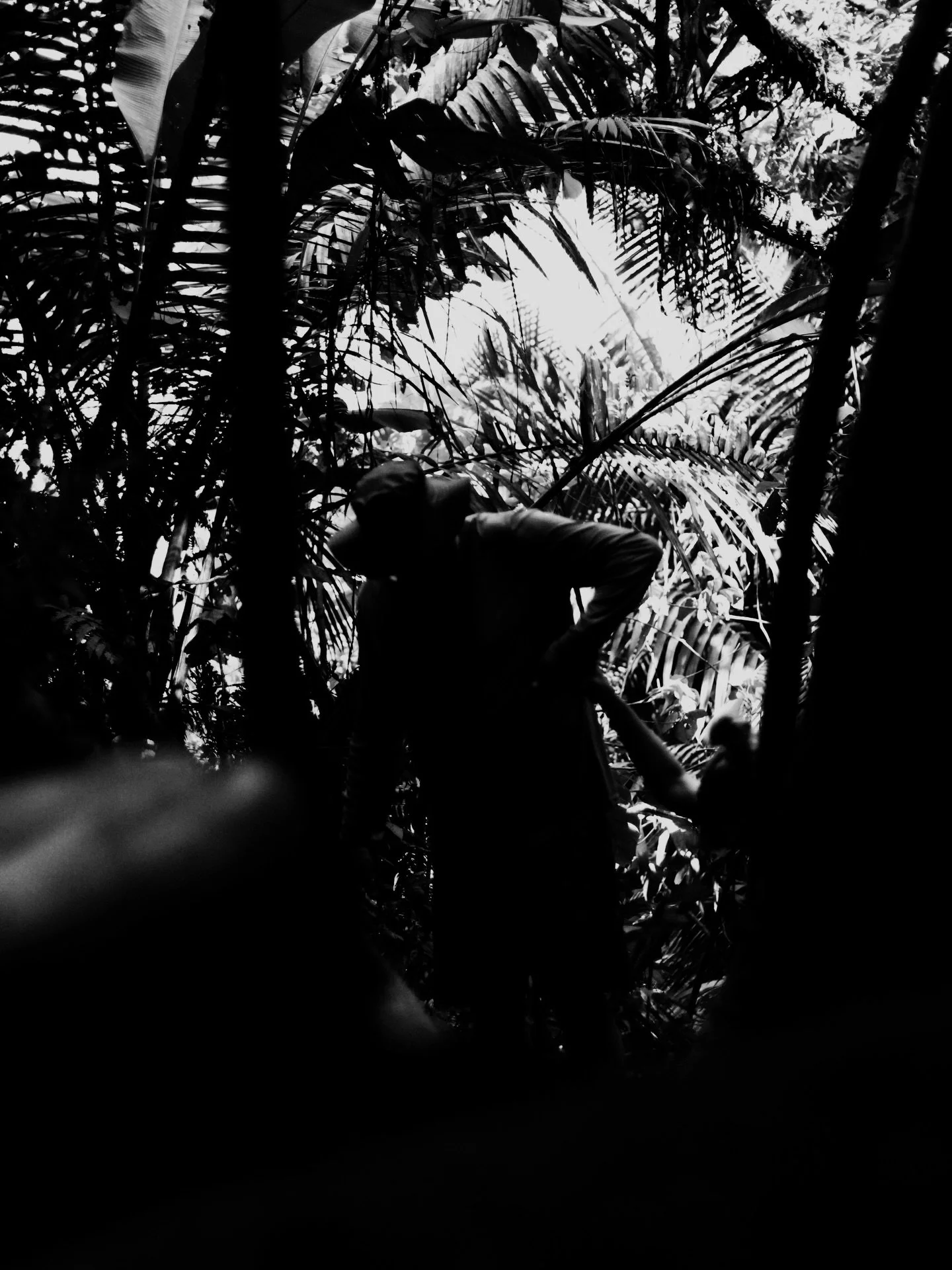 Todas se fueron
-
-
-
-
#puertorico
#sanjuan
#blackandwhite
#photographer 
#photography