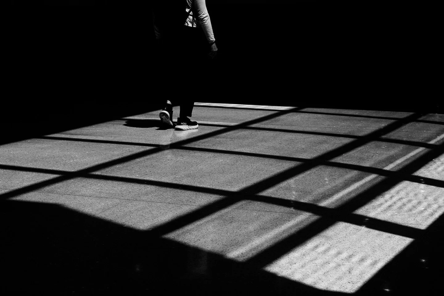 InTheShadows
-
-
-
-
#florida
#miami
#blackandwhite
#photographer 
#photography