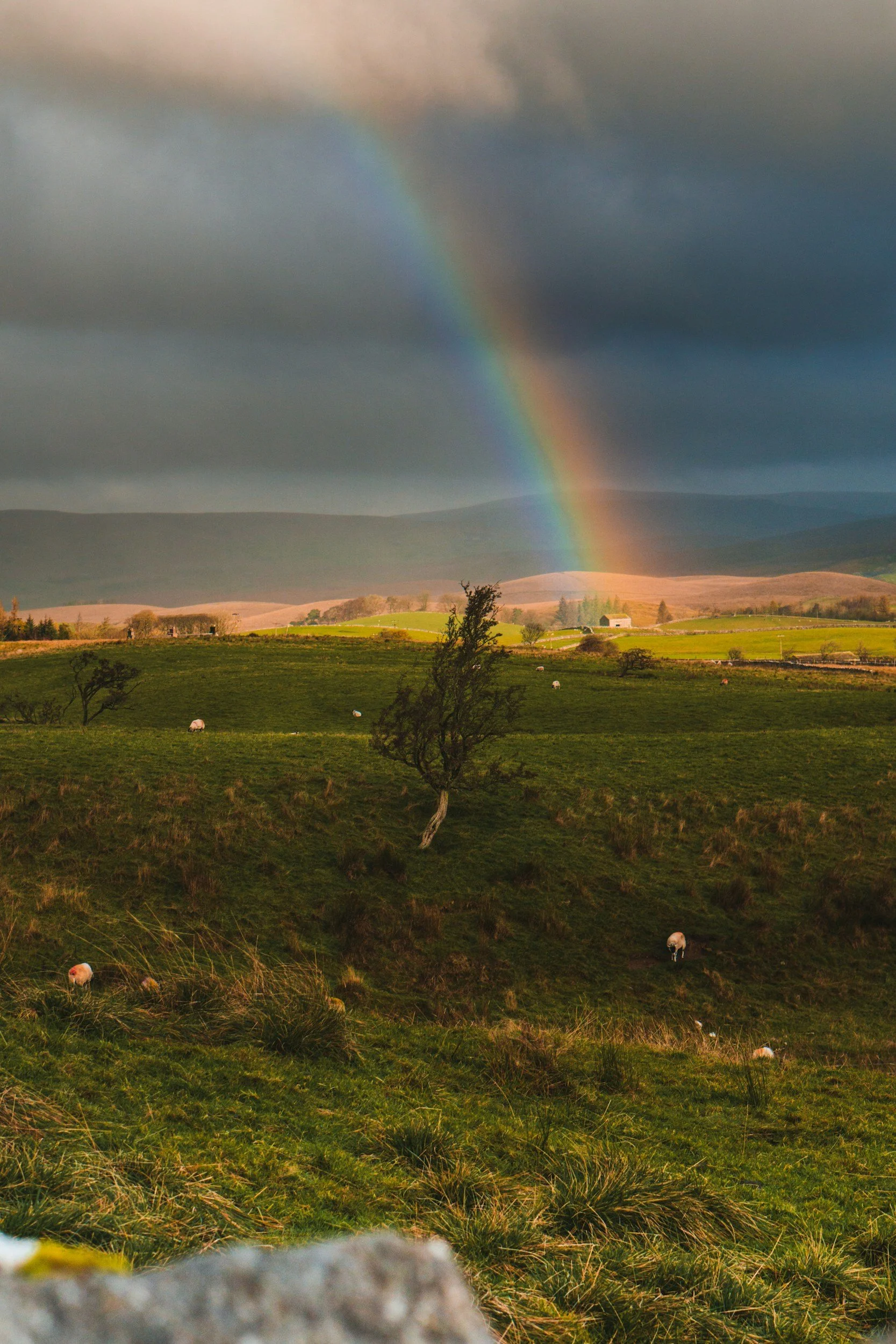 The Blessing No One Wants - Finding Meaning, Clarity, and Transformation Through Cancer