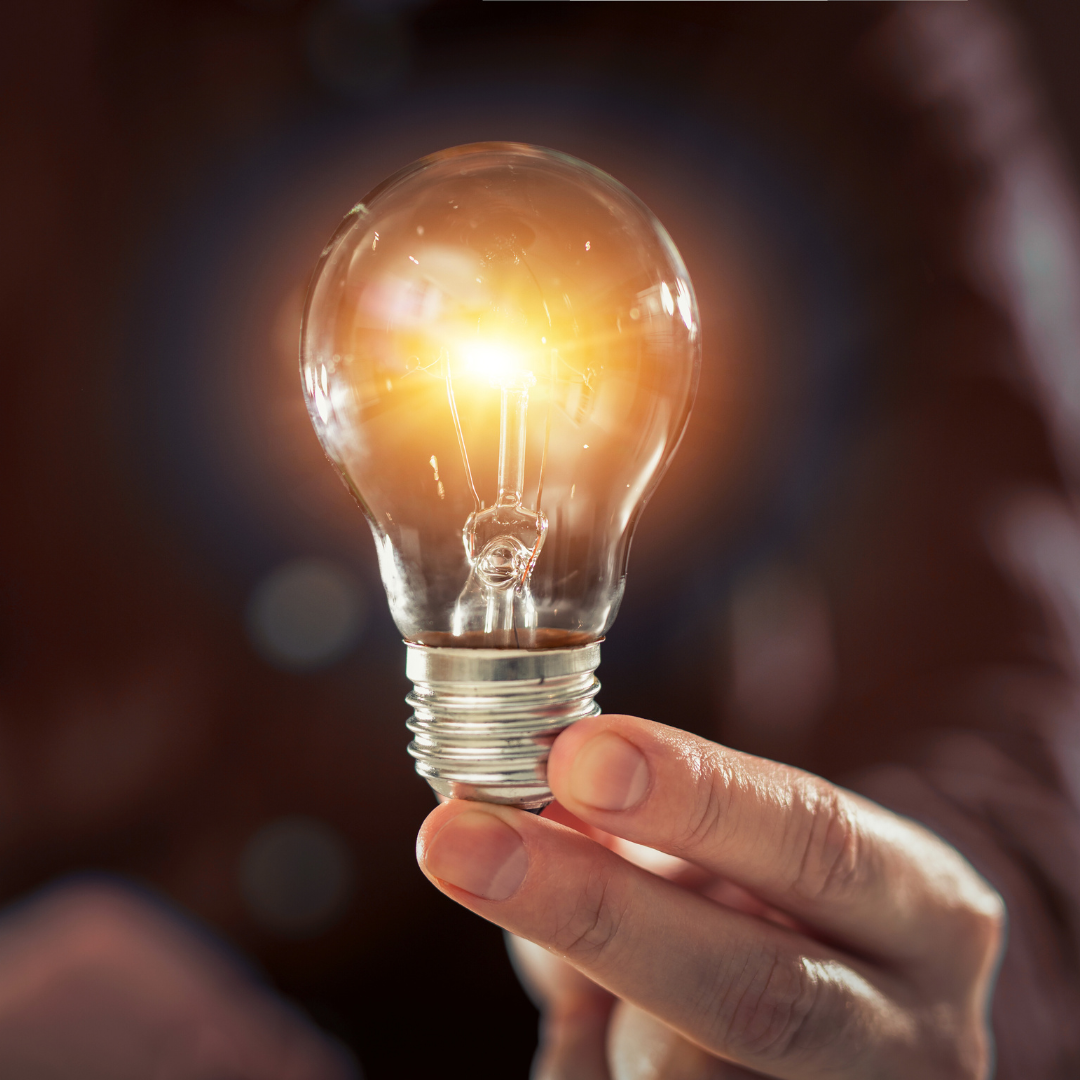 Beyond Performance: Creating Organizations That Thrive