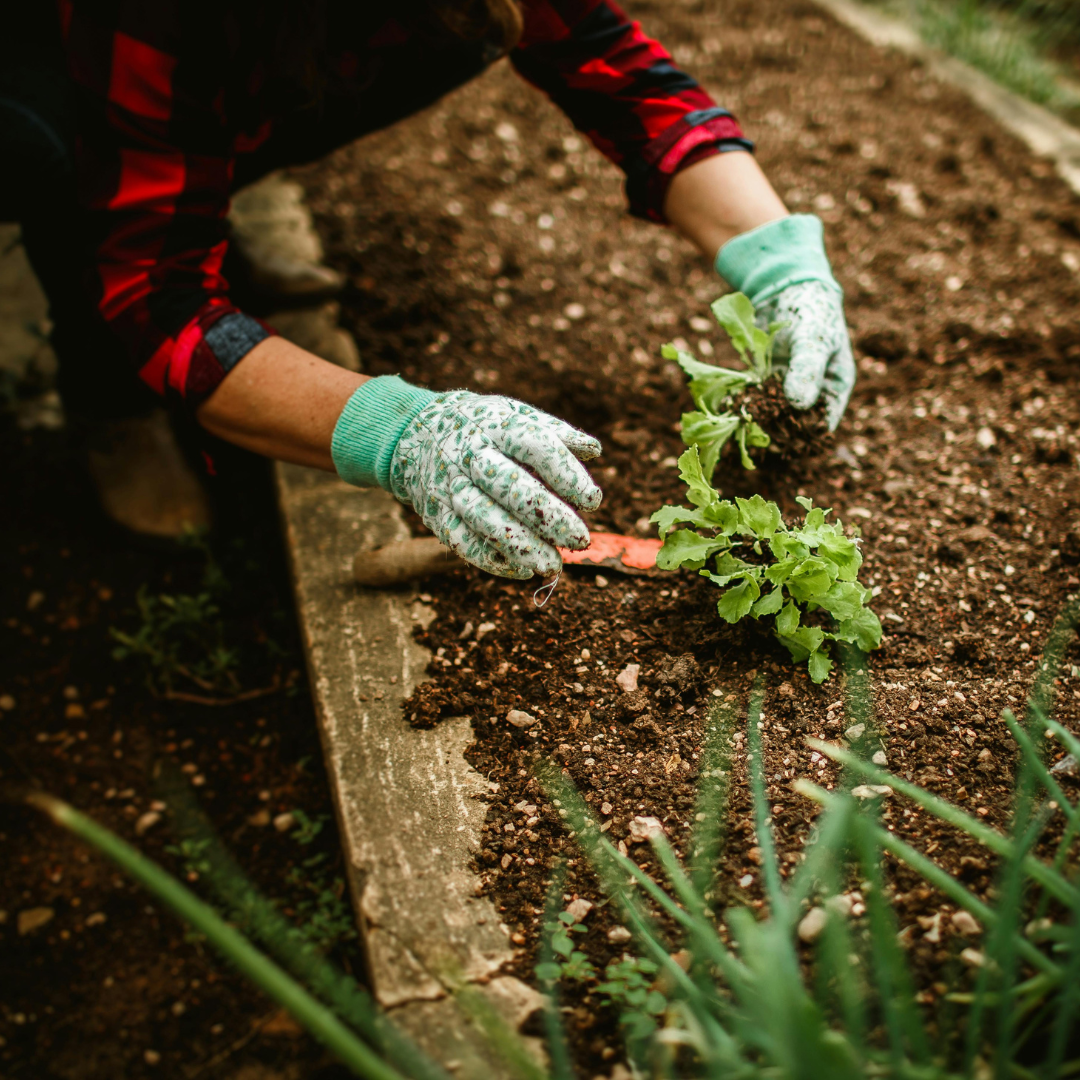 The Community Revolution Your Business Needs