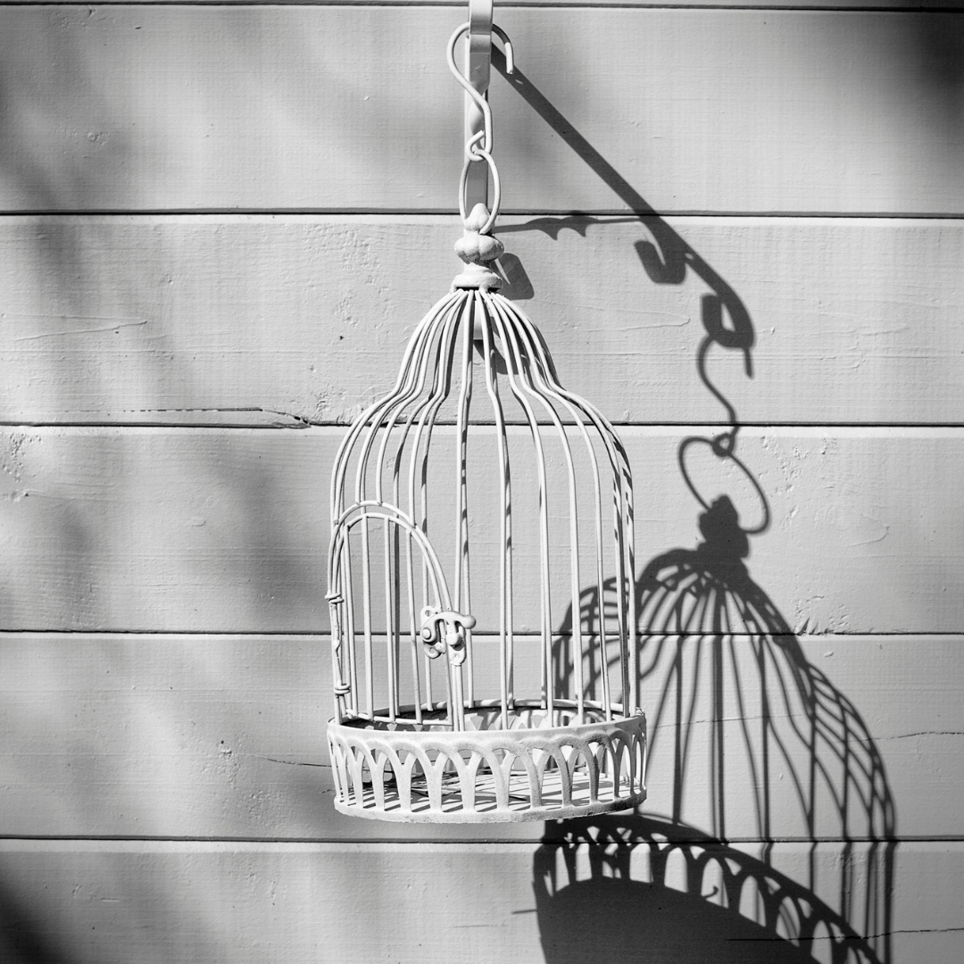 What's Holding Me Back? A CEO's Guide to Breaking Through the Success Ceiling