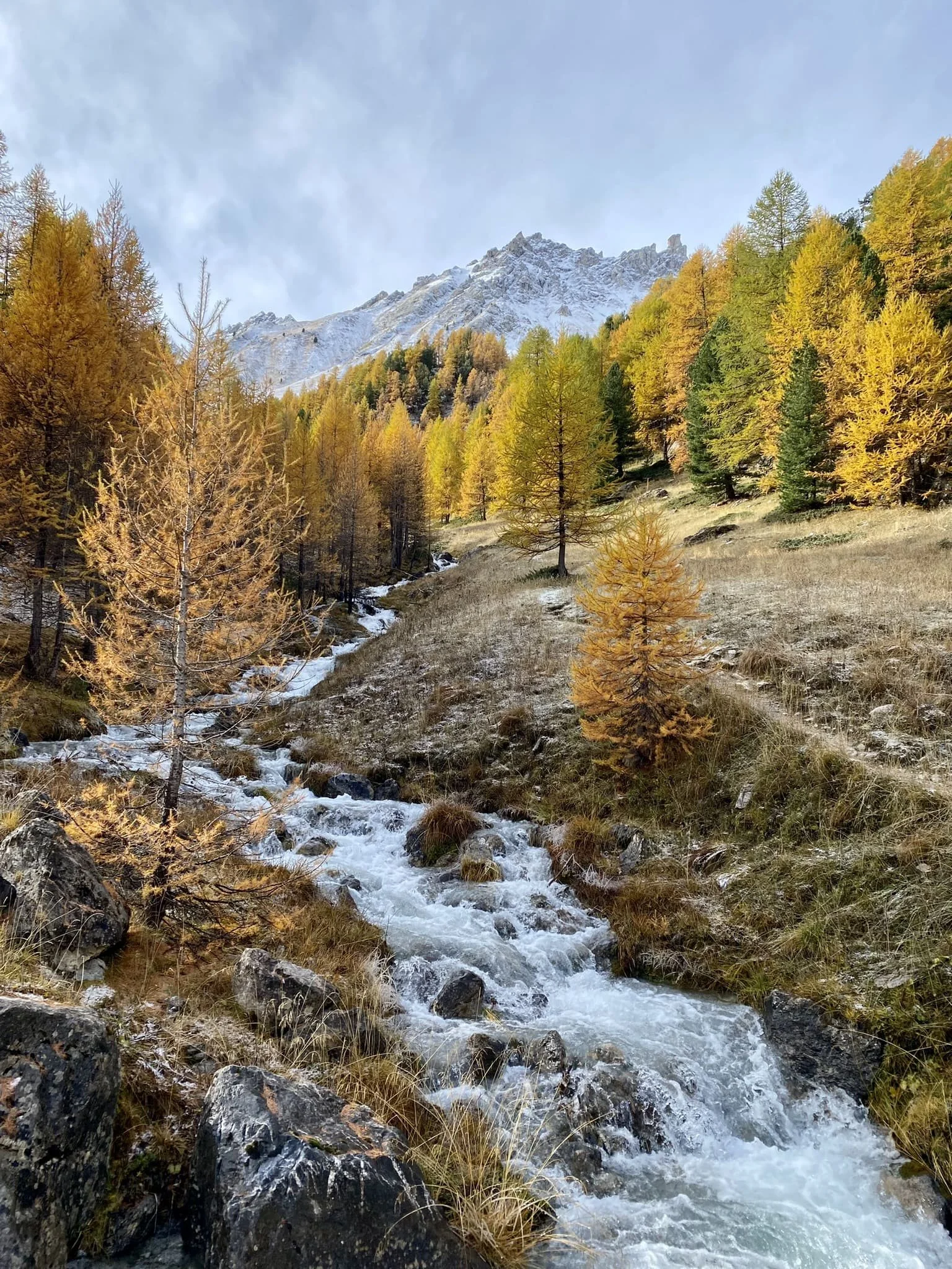 Rivière coulant à travers une vallée de montagne avec des arbres aux couleurs automnales et des sommets enneigés en arrière-plan.