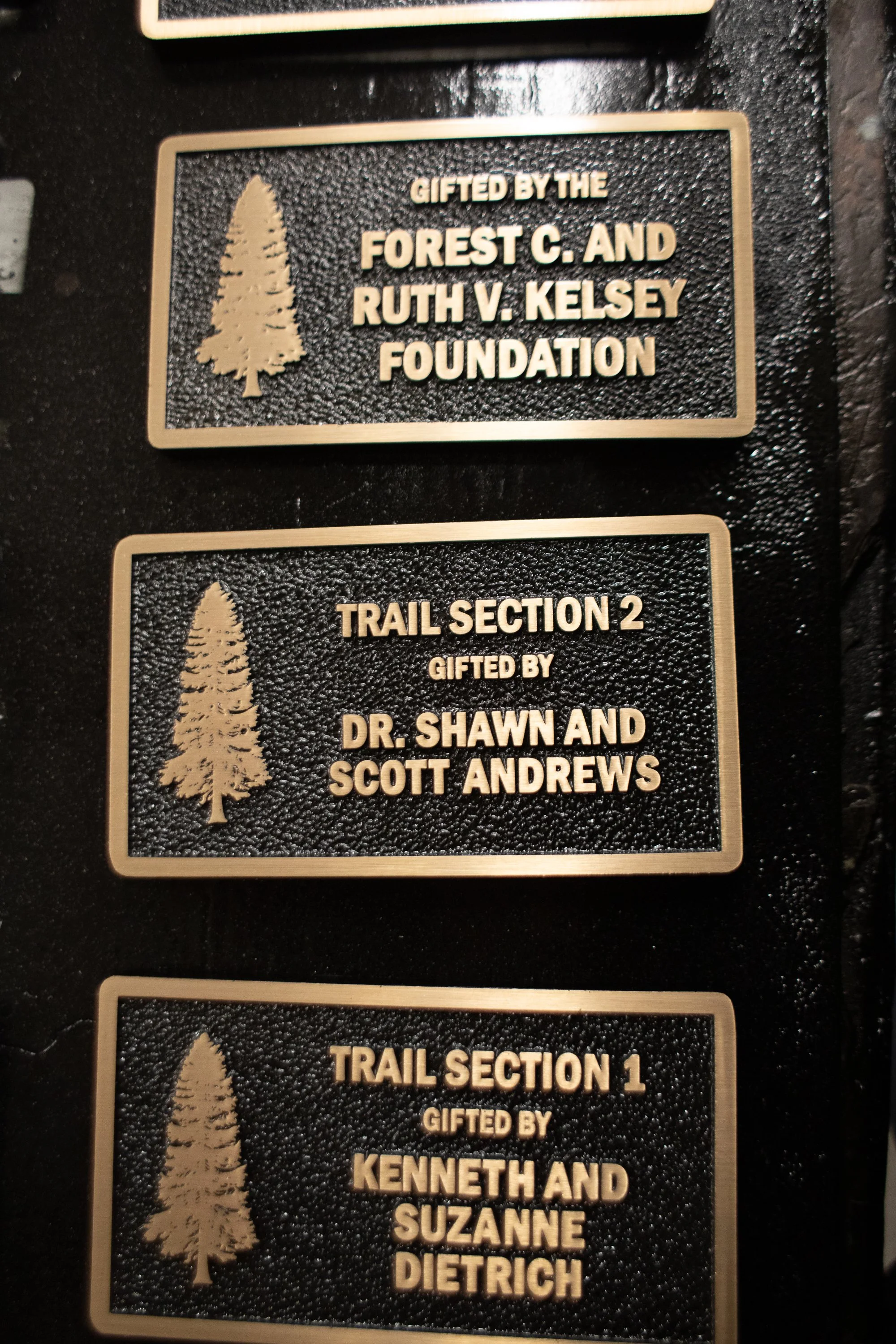 Donor recognition wall featuring multiple custom bas relief plaques with raised lettering and textured backgrounds created using 3d bas relief casting techniques.