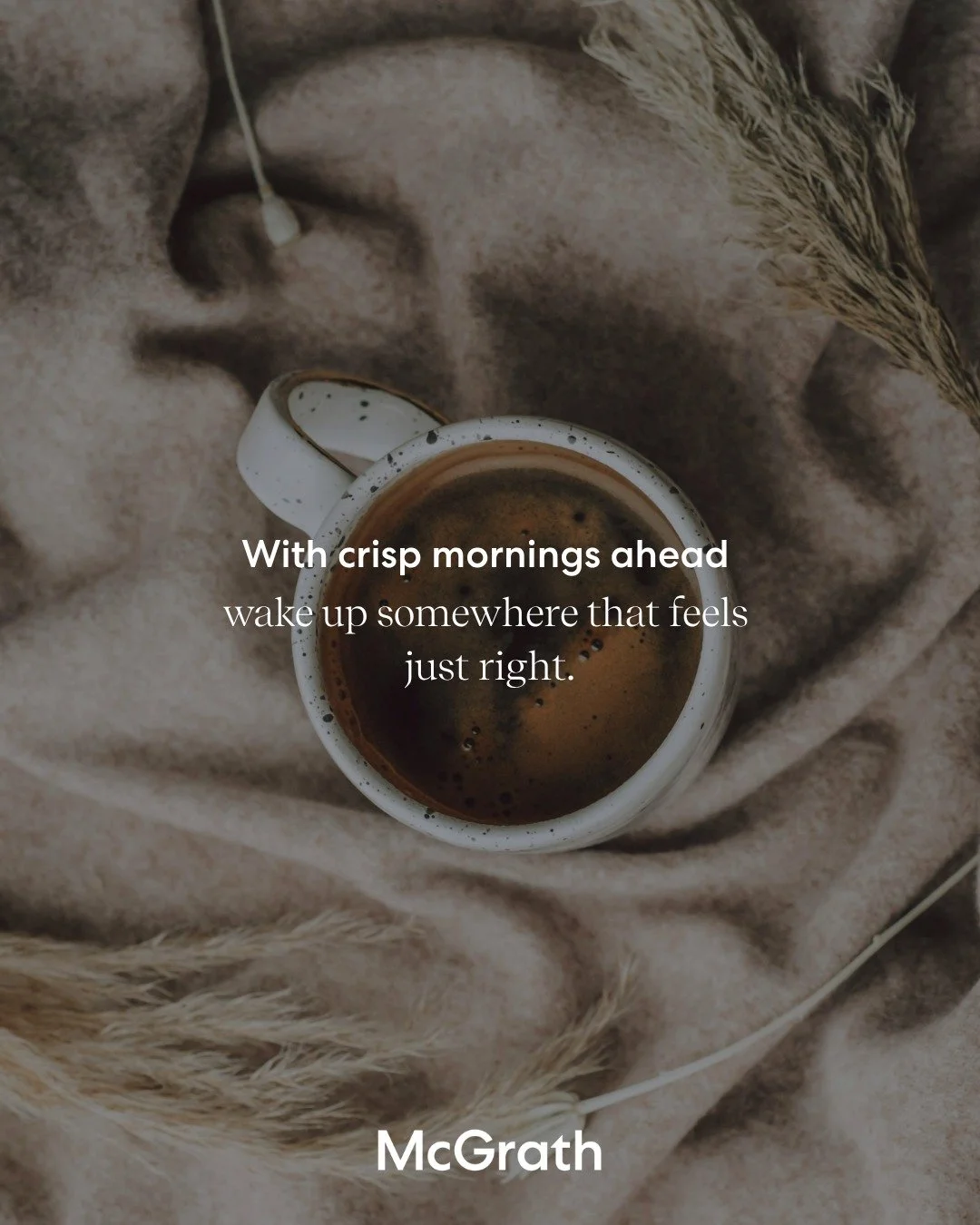 Autumn is the perfect time to find where you belong 

#mcgrathestateagents #guidingyouhome #mcgrathillawarra