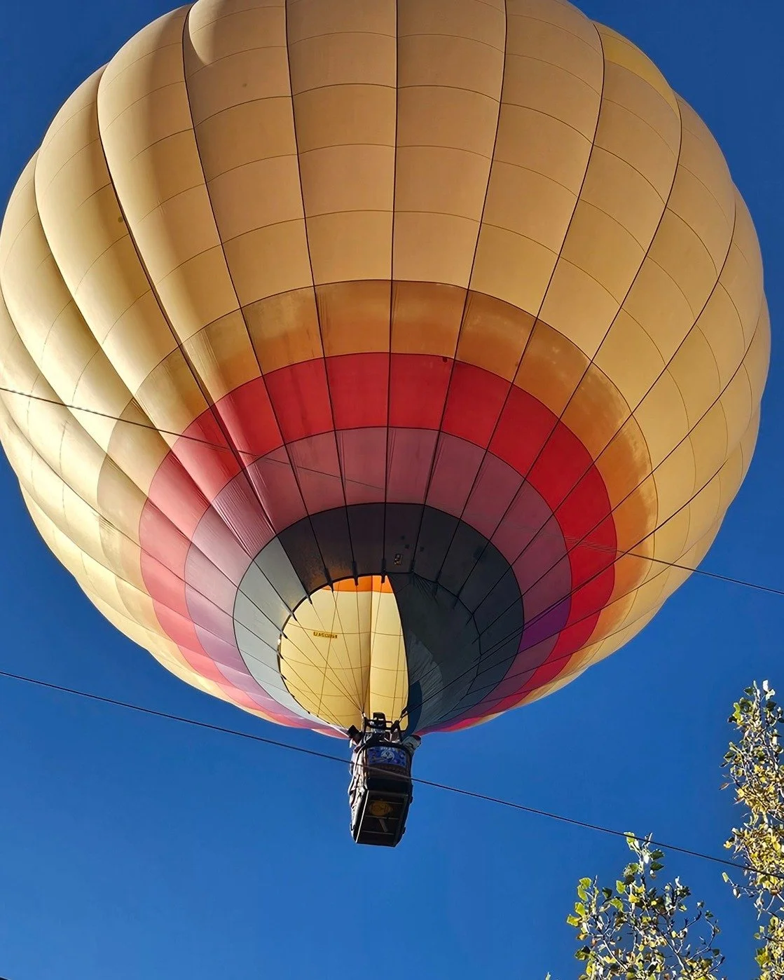 Today was a perfect day for a hot air balloon flight over town. Check out these beautiful photos from the The Gold Leaf's own multitalented Amazing Alex, (@alex.likes.plants) our resident balloon pilot. Today's voyage saw her (and her kids) soaring o